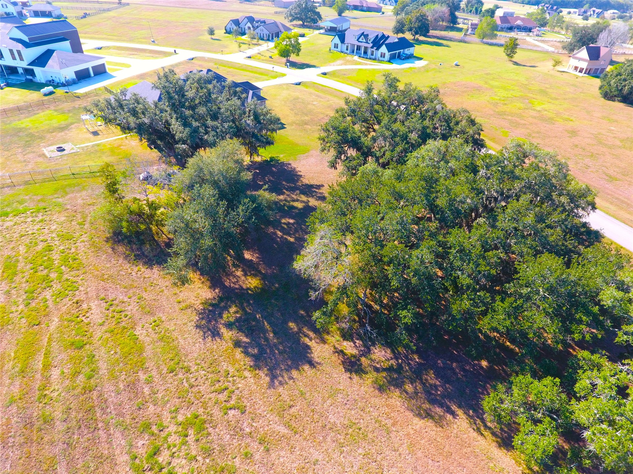 615 Lily Lane, Rosharon, TX 77583