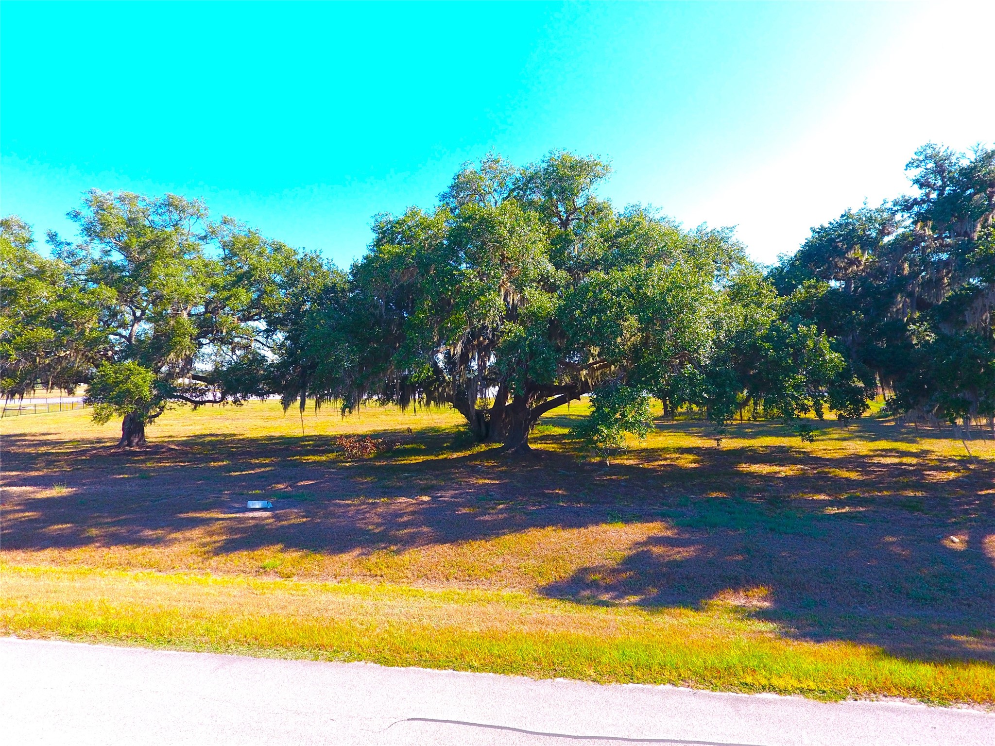 615 Lily Lane, Rosharon, TX 77583 615 Lily Lane, Rosharon, TX 77583