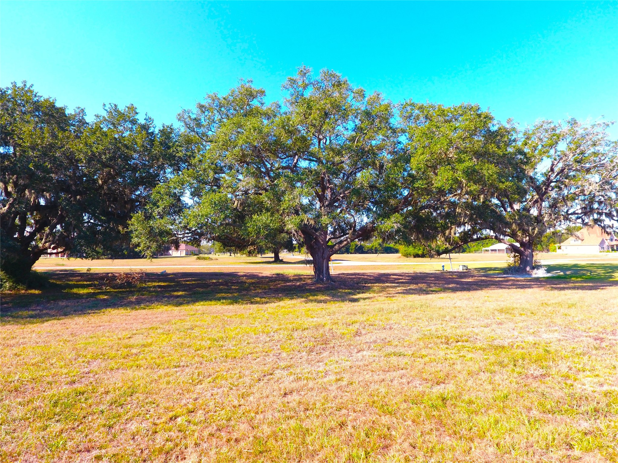 615 Lily Lane, Rosharon, TX 77583