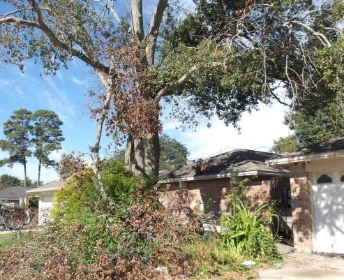 2531 Goldspring Lane, Spring, TX 77373