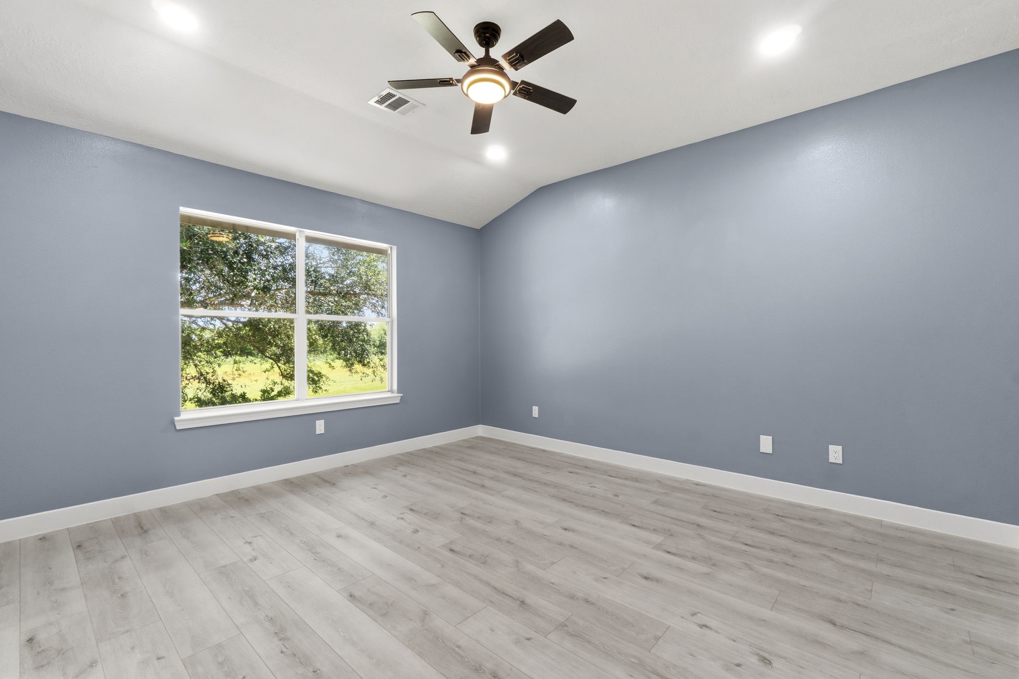 Fresh paint and large window for natural light