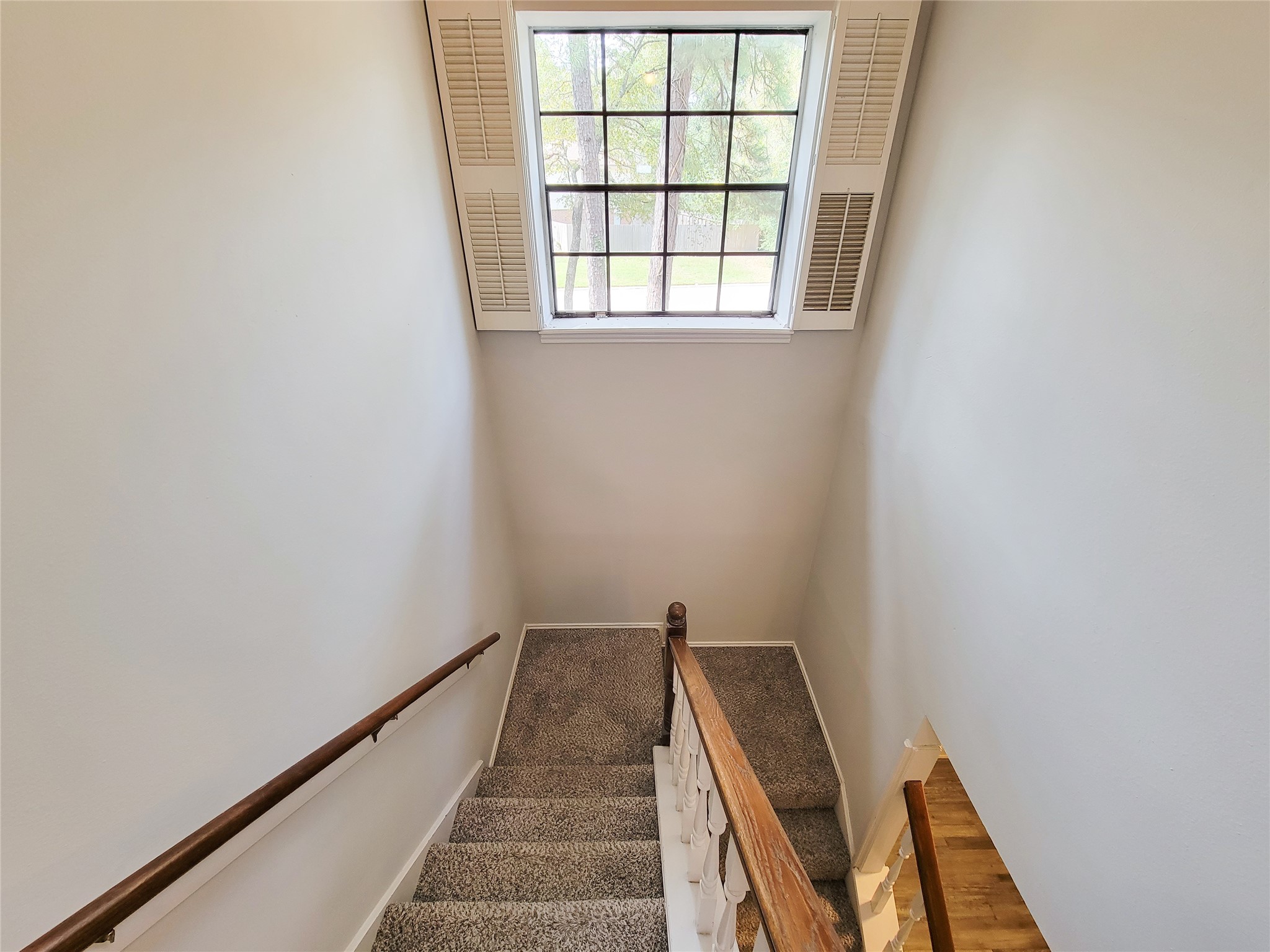 Bright and inviting staircase with a large window letting in natural light, featuring neutral walls and carpeted steps for a cozy ascent.