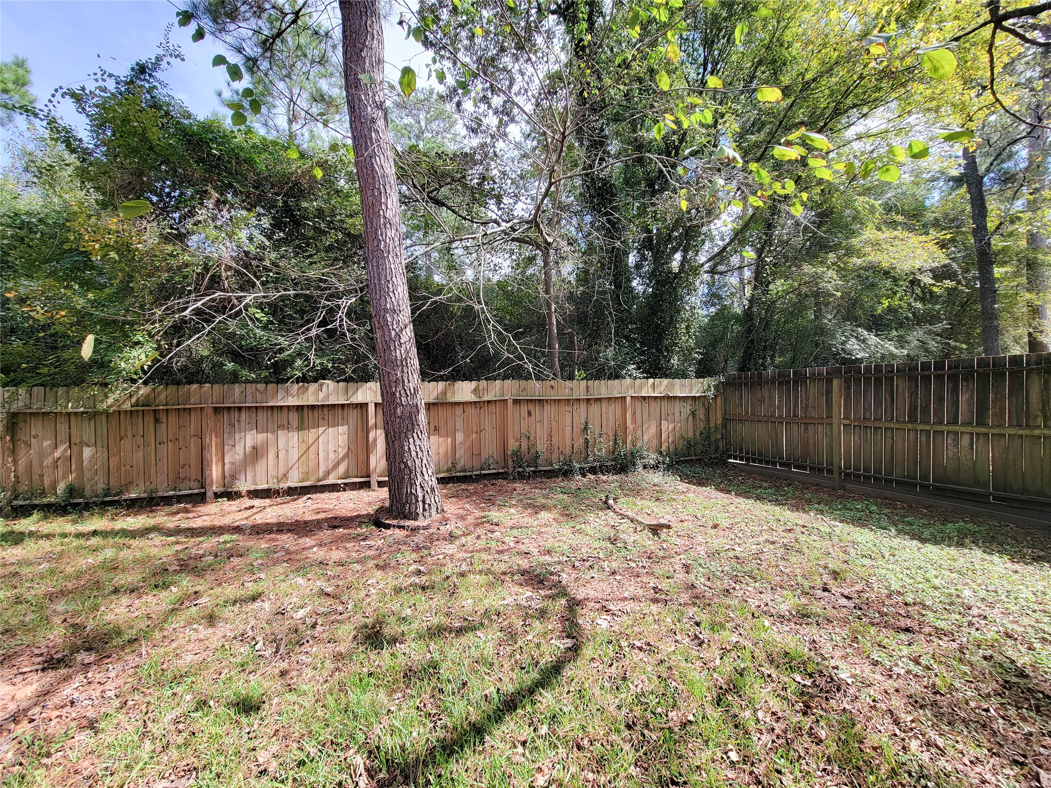 Spacious backyard with lush greenery, tall trees, and a sturdy wooden fence, perfect for privacy and outdoor enjoyment.