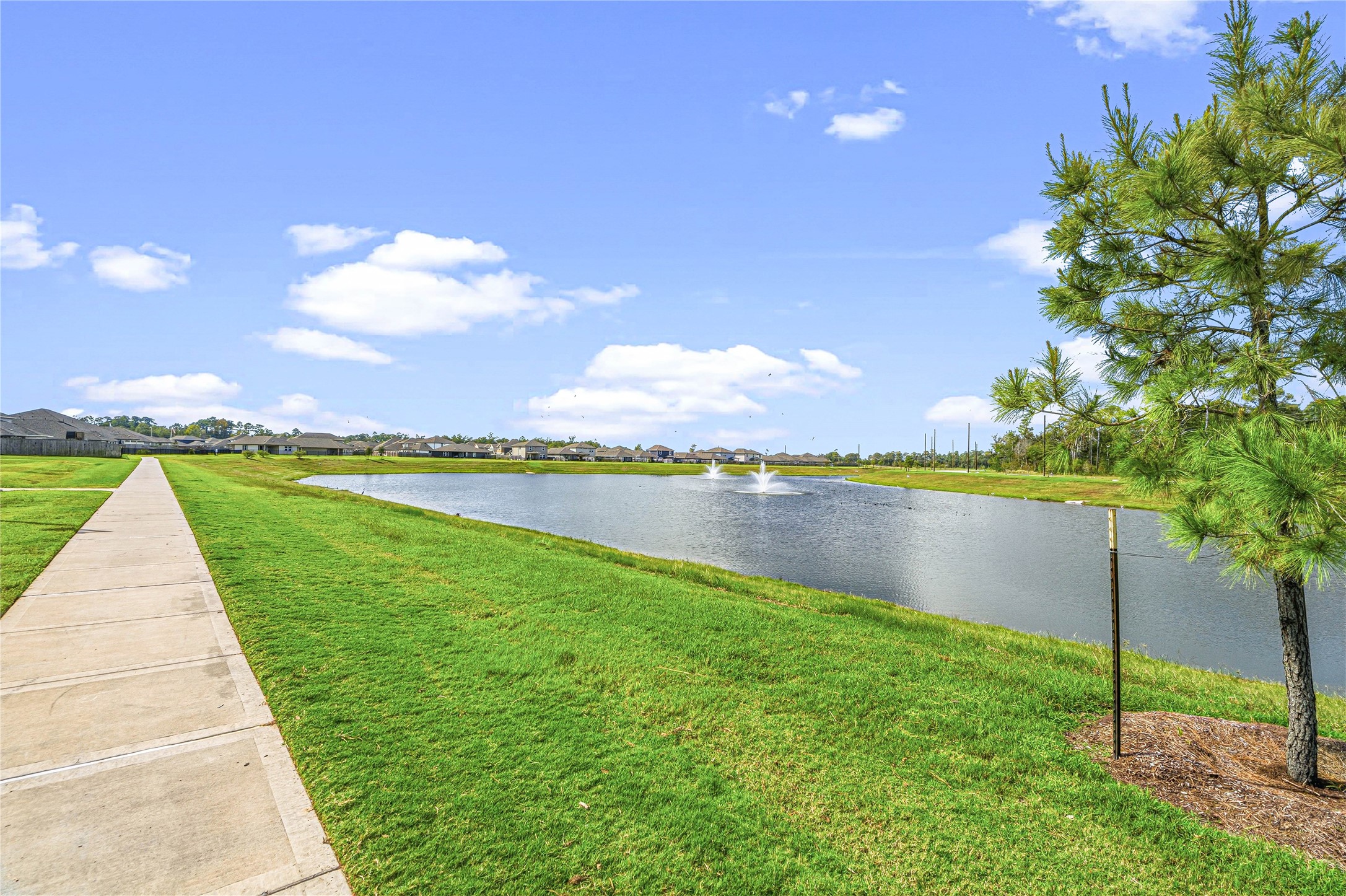 Walking Trail