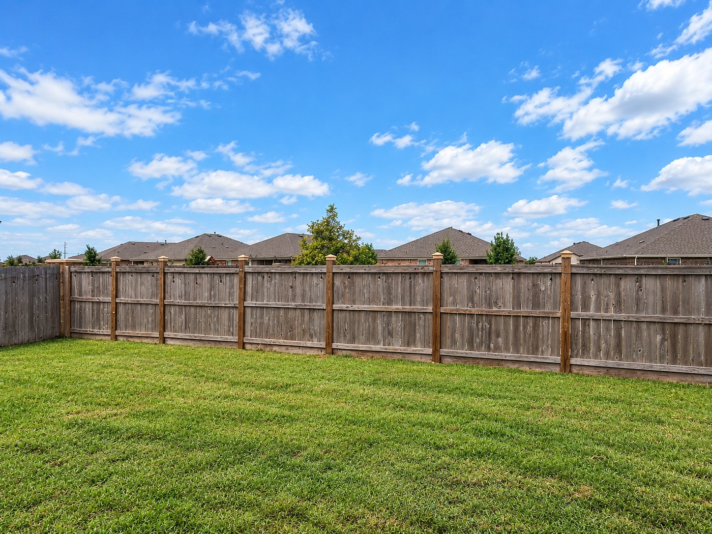 Spacious Backyard