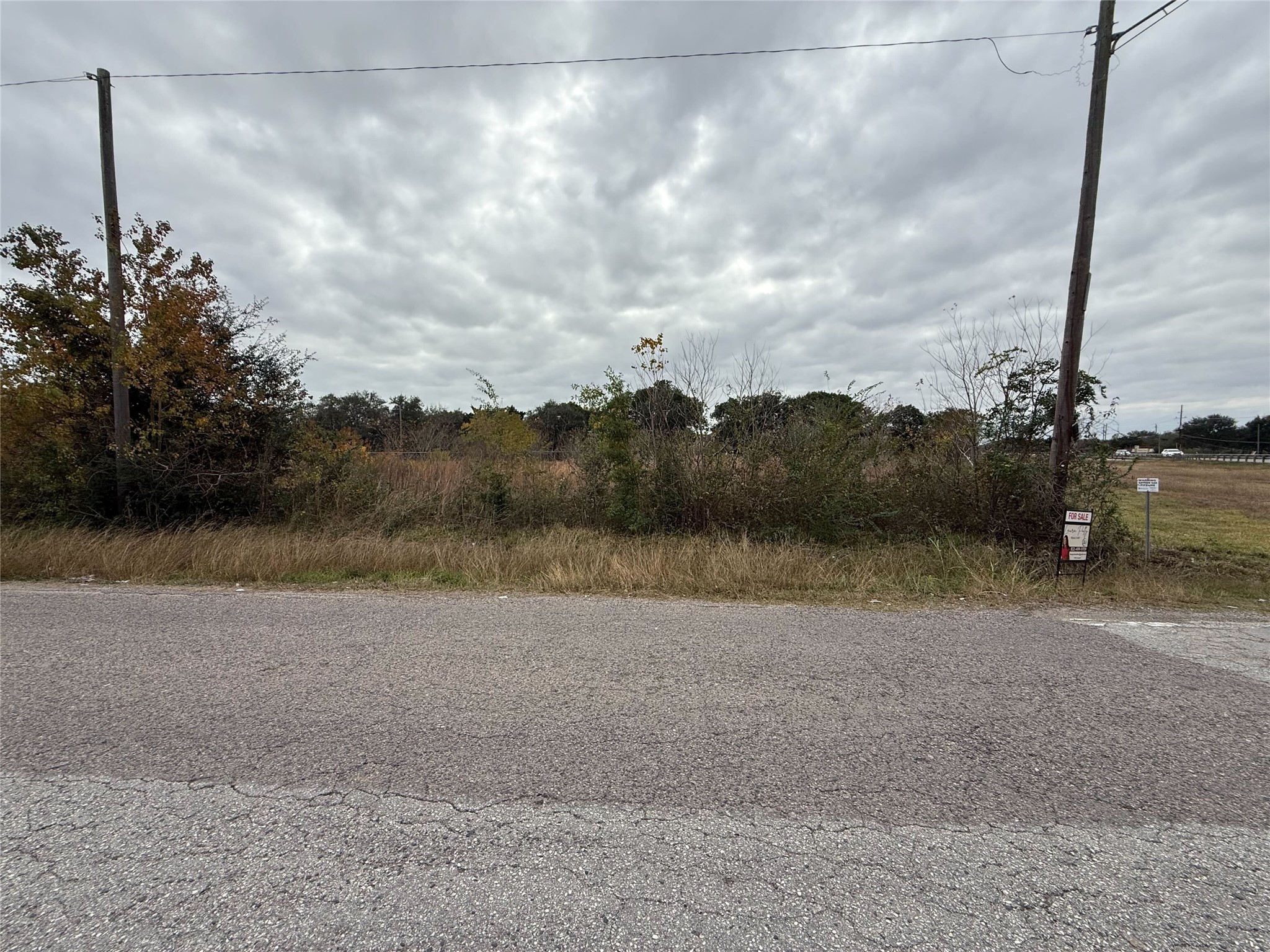 9015 Schiro Rd, Hitchcock, TX 77563
