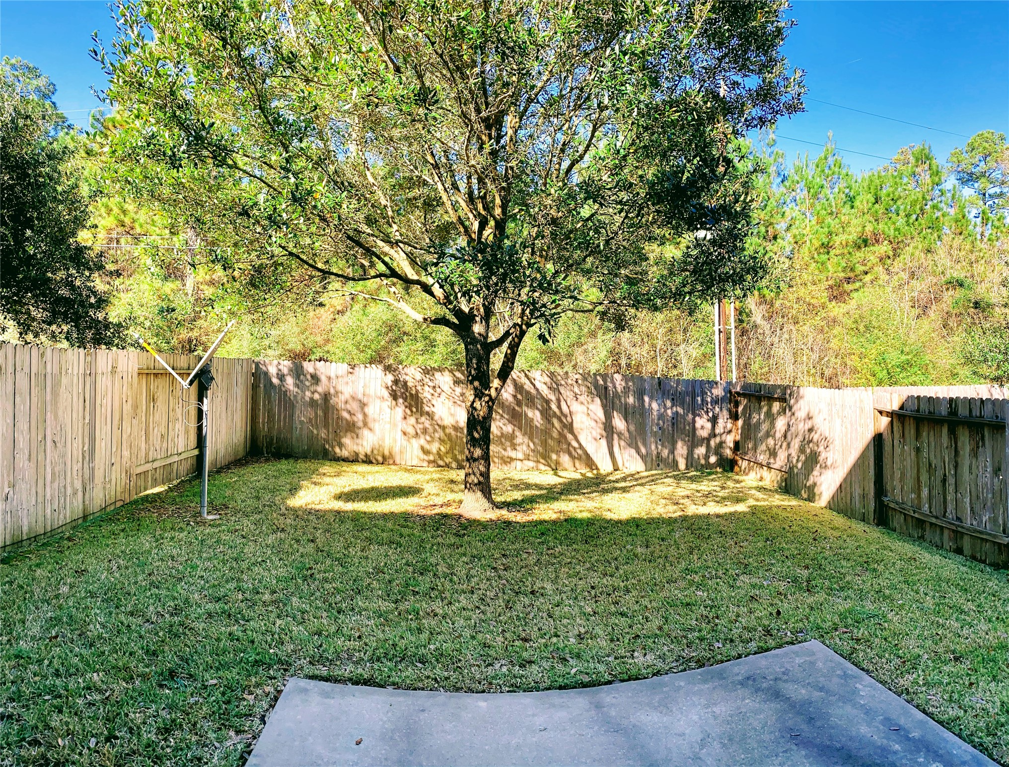 This is not actual backyard but similar.
