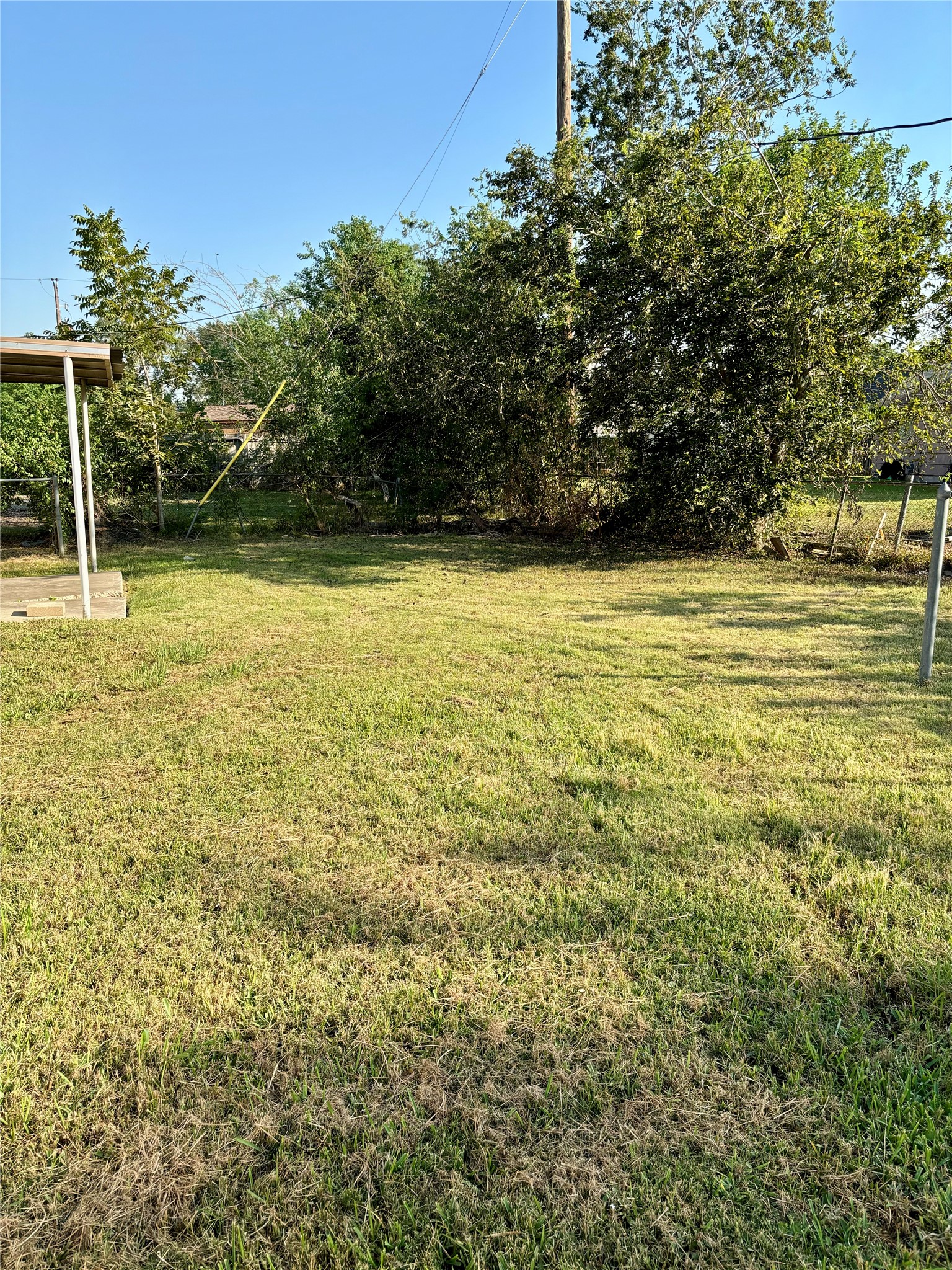 Backyard