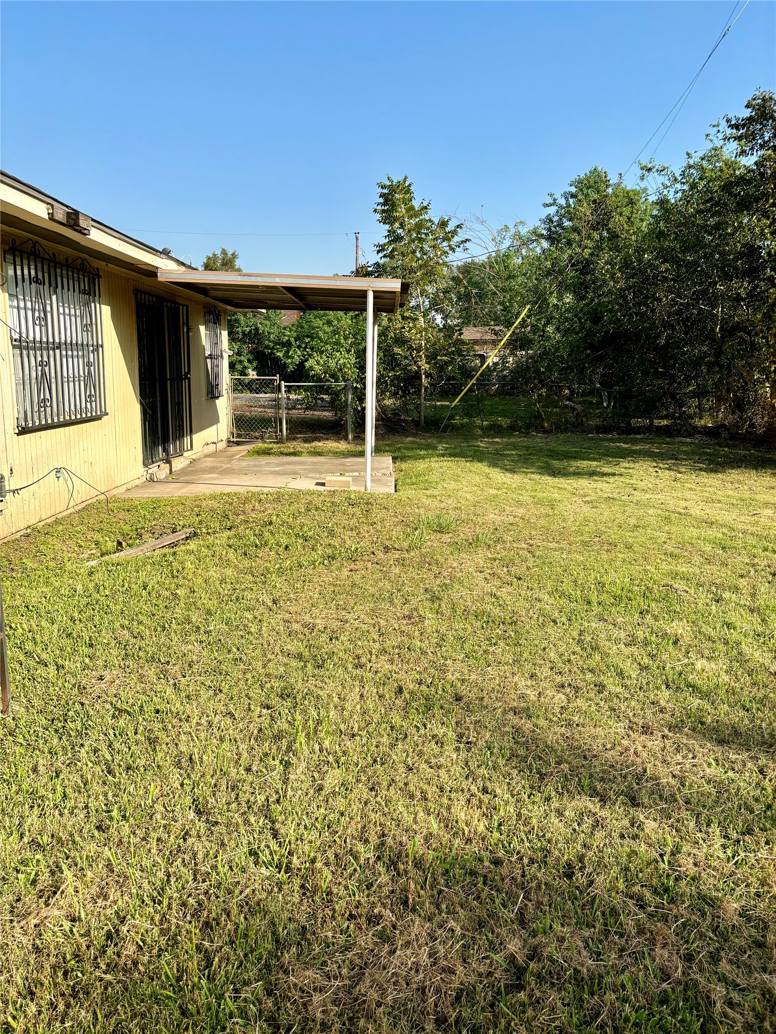 Backyard