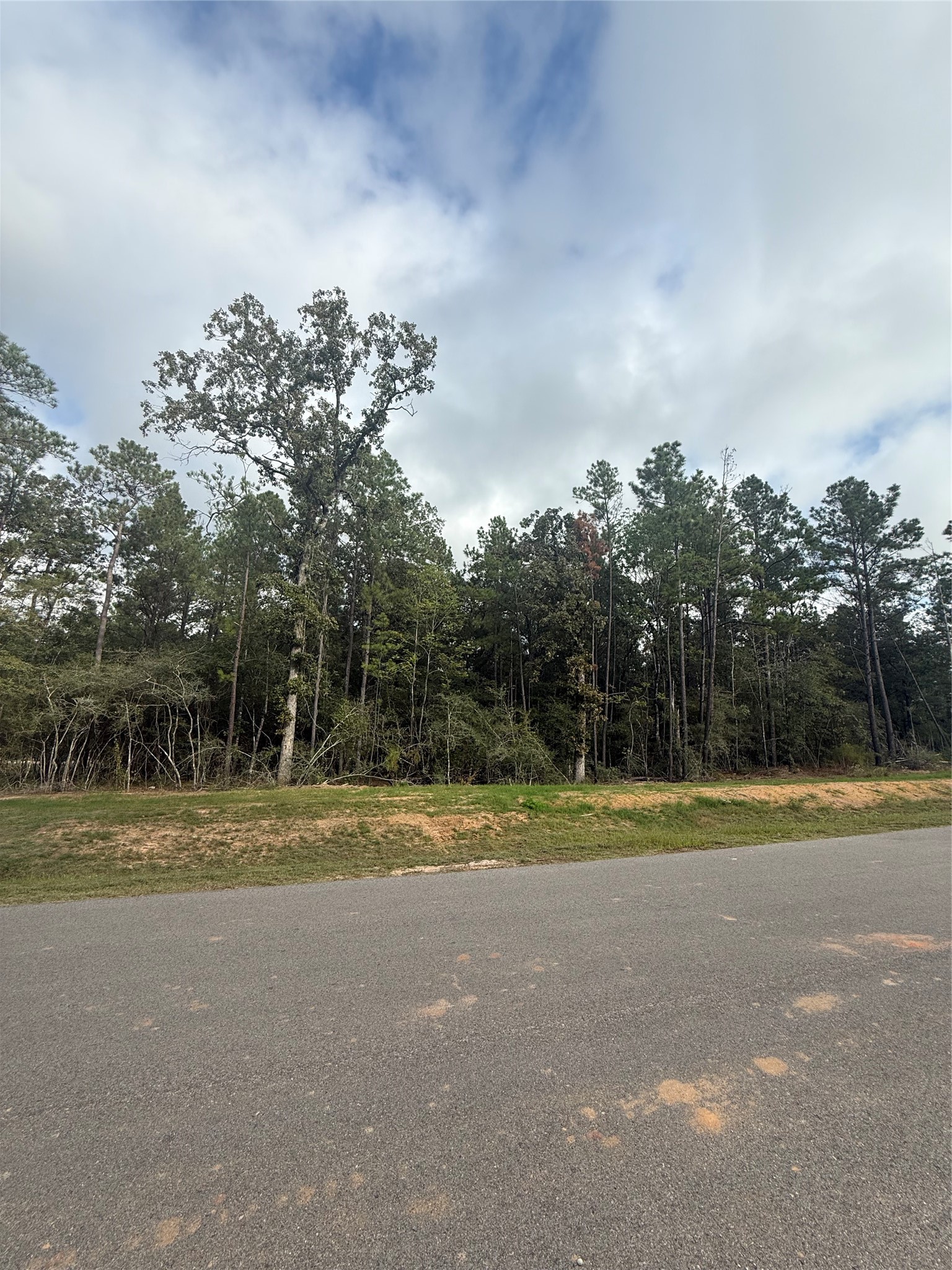 4511 Marfa Court, Montgomery, TX 77316