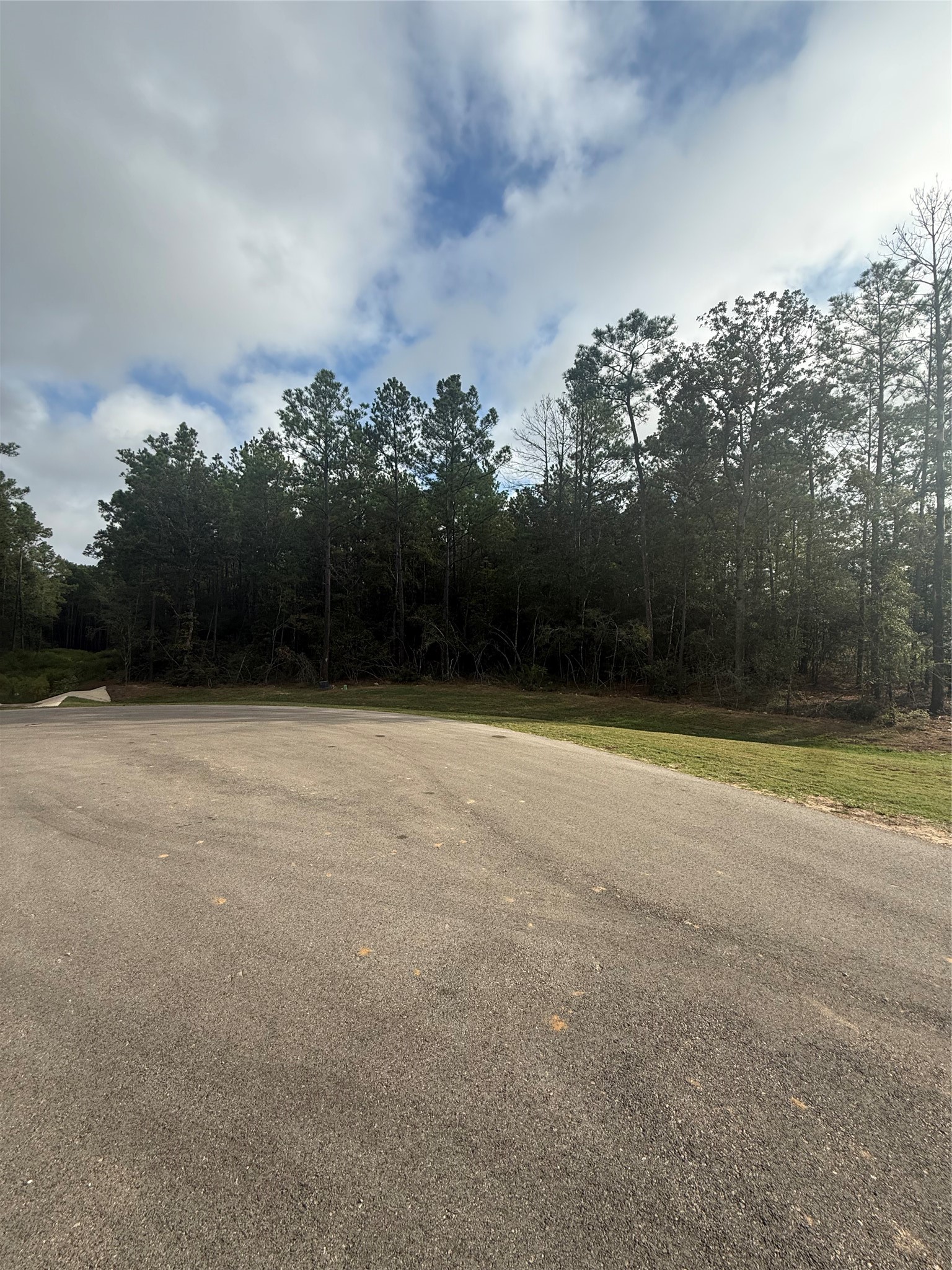 4511 Marfa Court, Montgomery, TX 77316