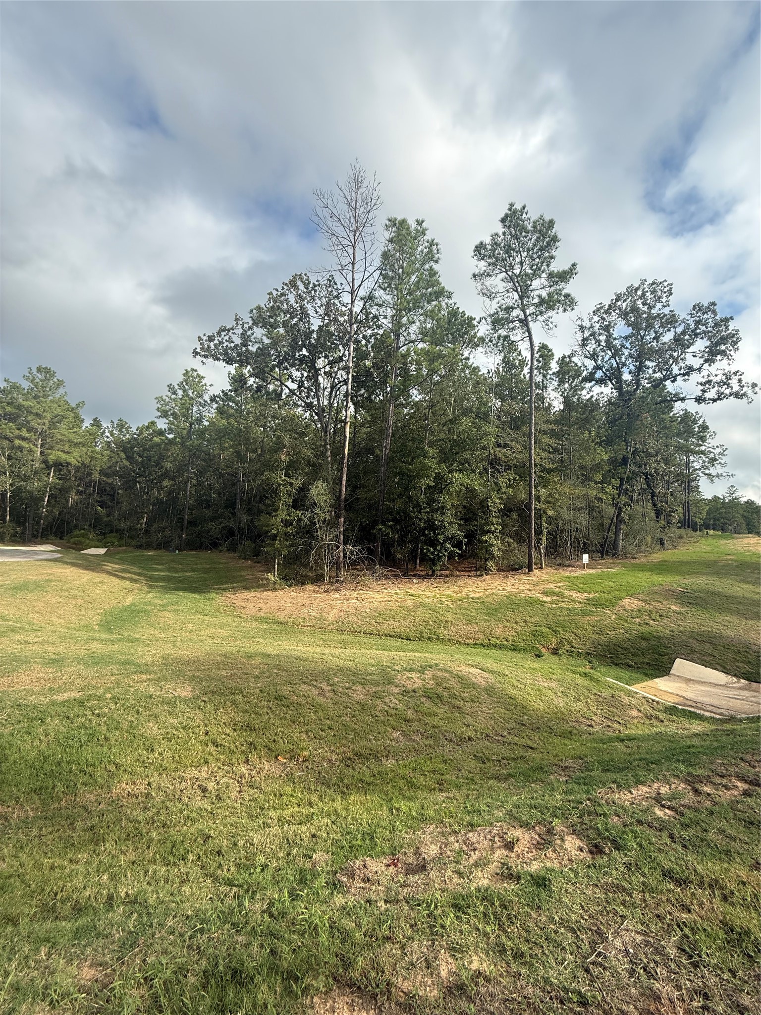 4511 Marfa Court, Montgomery, TX 77316