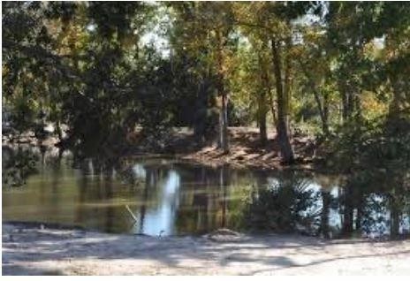 Take a hike with family and friends through the park!