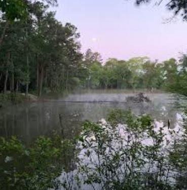 Enjoy the sunsets over the water!