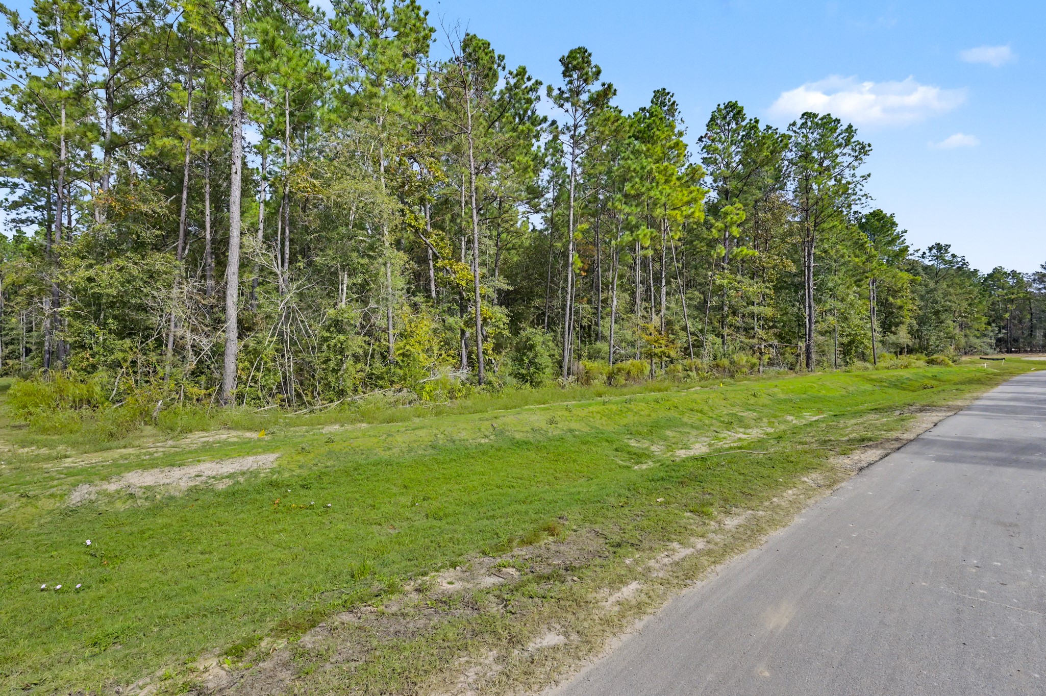 A street view of Marfa Lane.