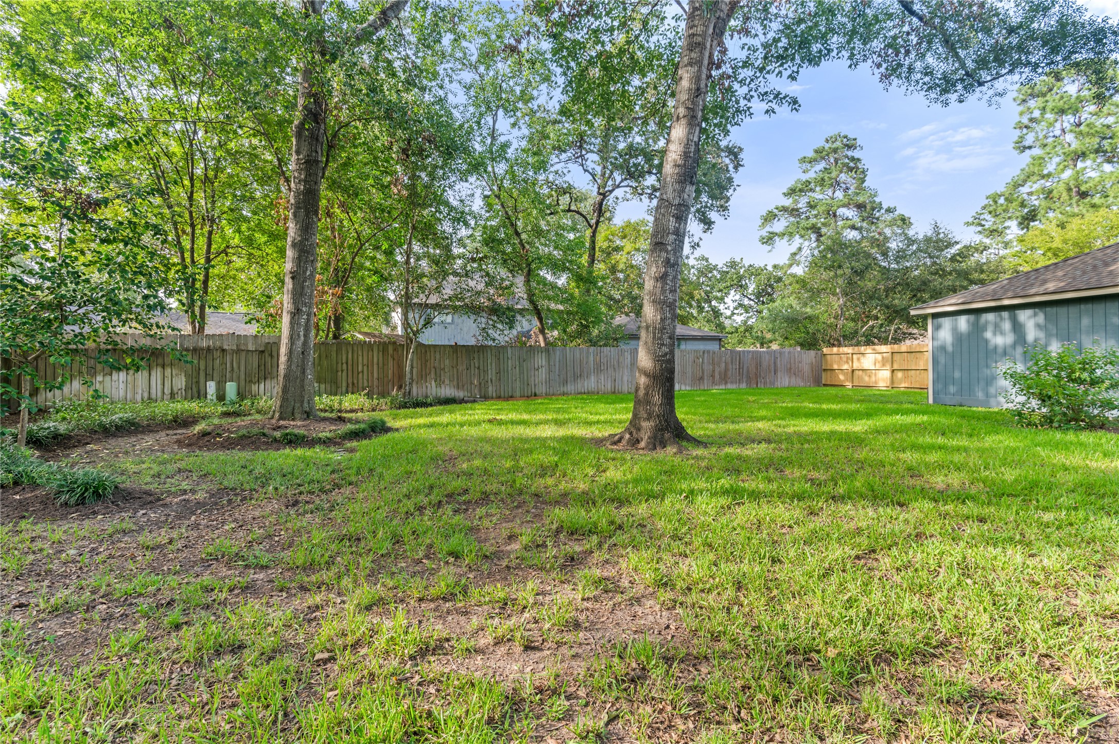 Backyard