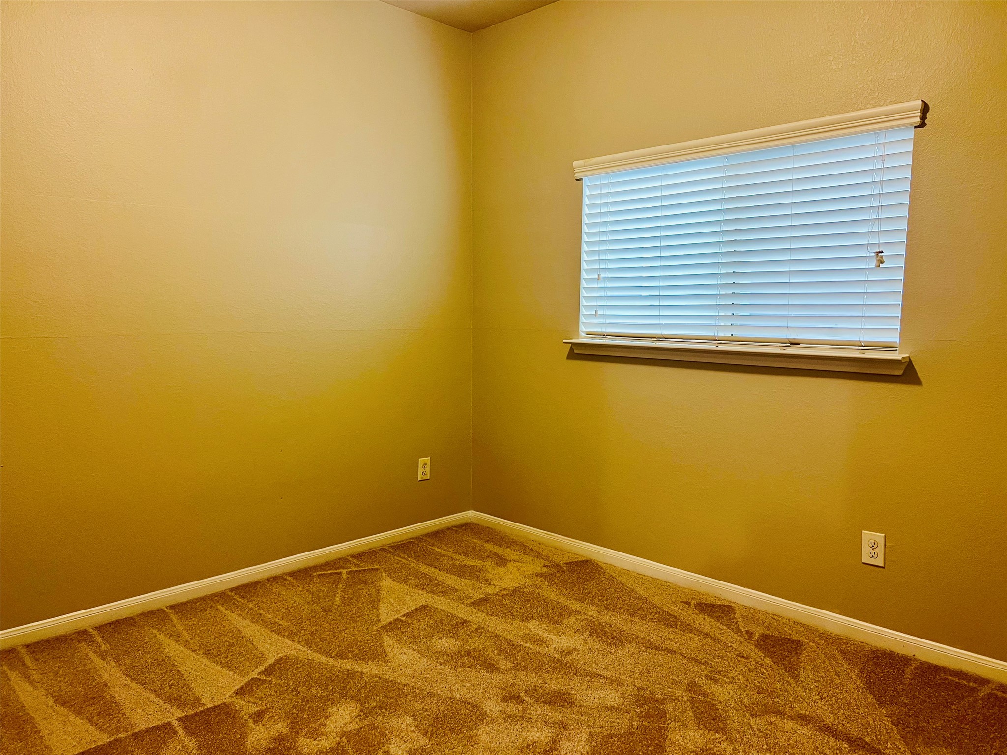 Cozy bedroom with neutral walls, plush carpeting, and a window with blinds for natural light and privacy.