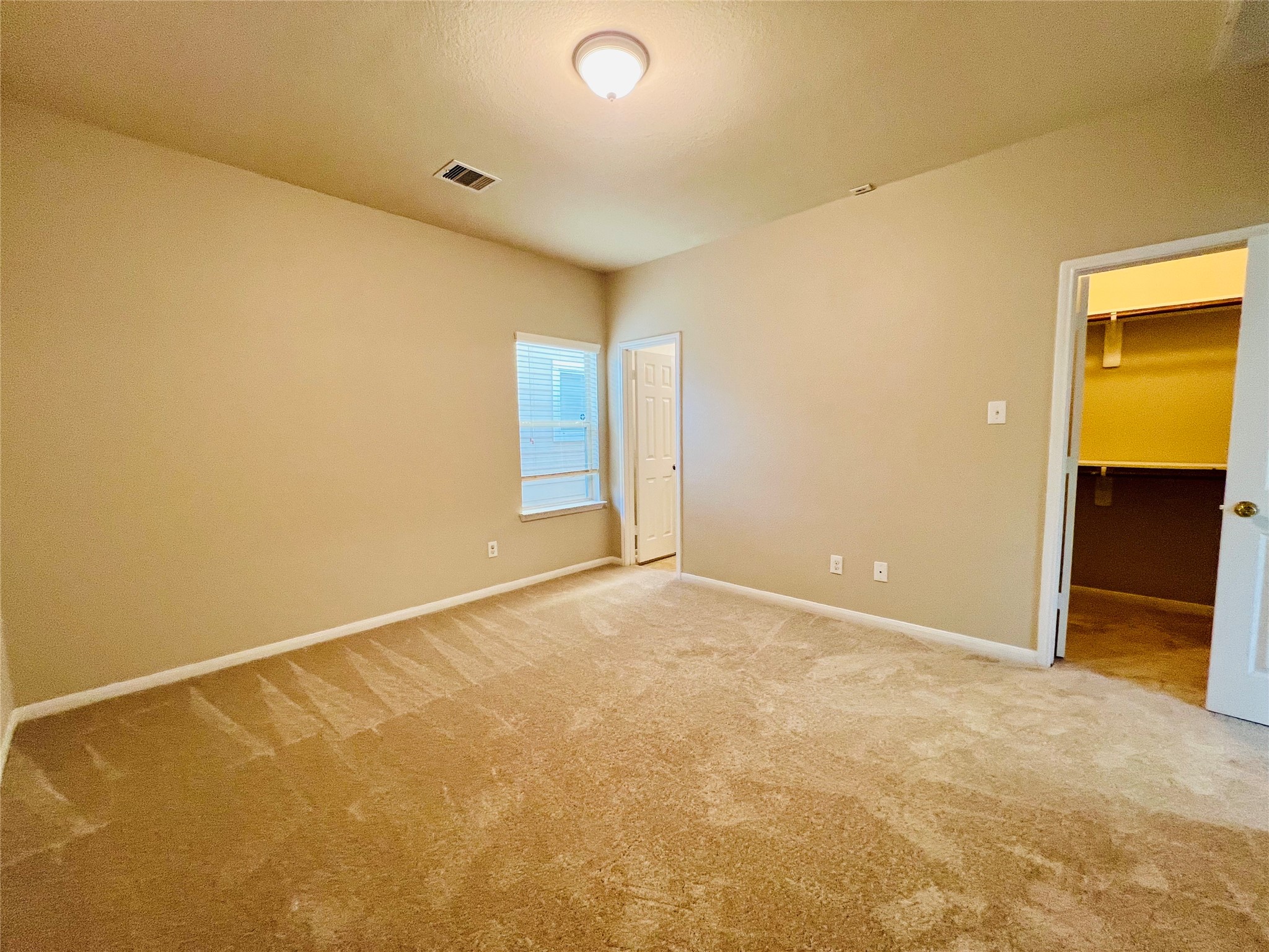 Spacious bedroom with plush carpeting, neutral walls, and ample natural light, featuring a convenient walk-in closet.