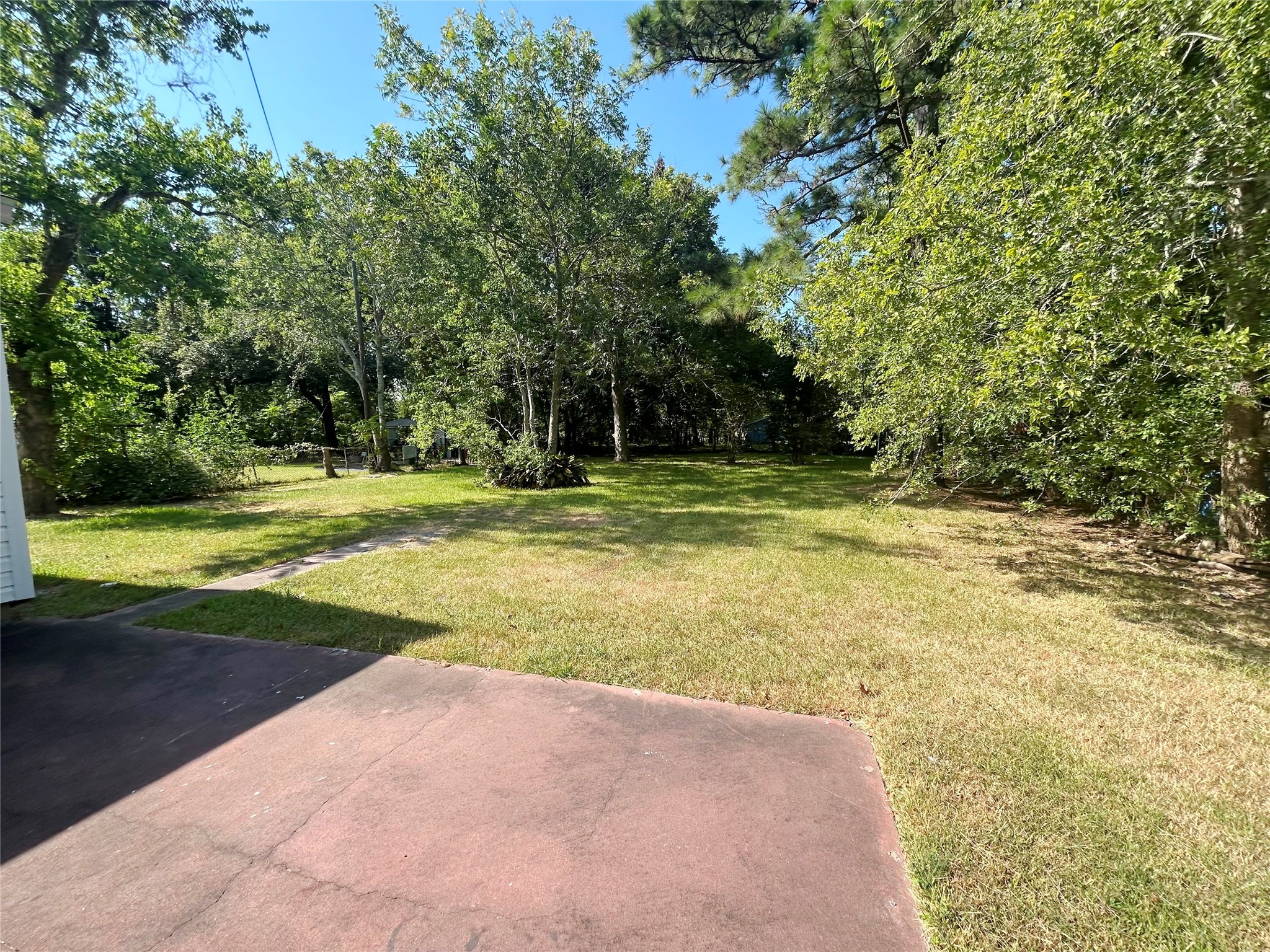 Patio overlooks a shady back yard