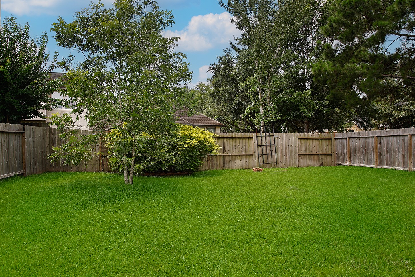 19 Patina Pines Place, The Woodlands, TX 77381