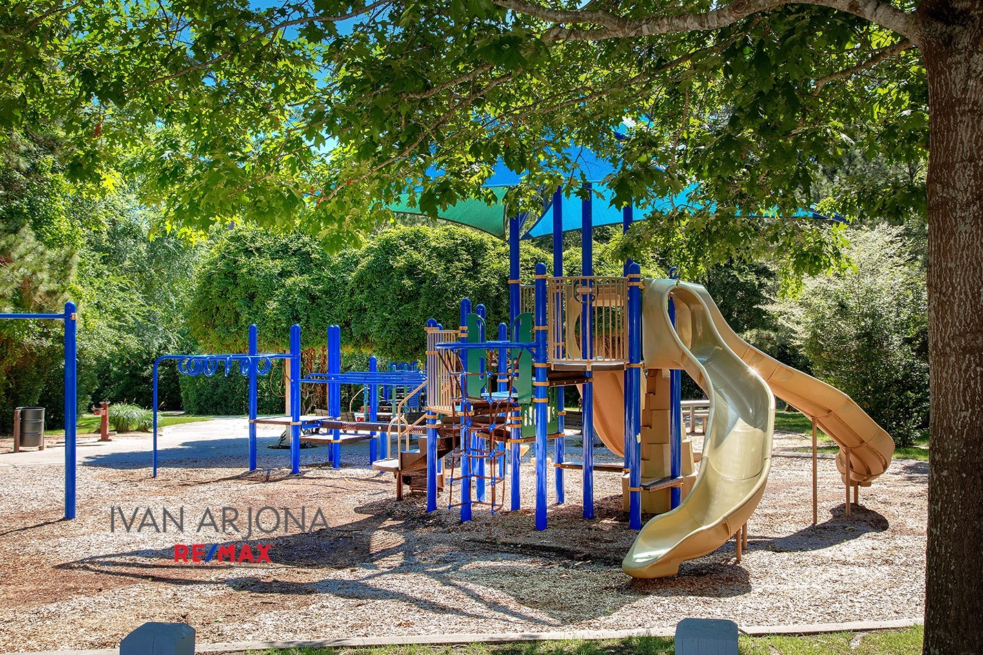 Cranebrook Park and Pool