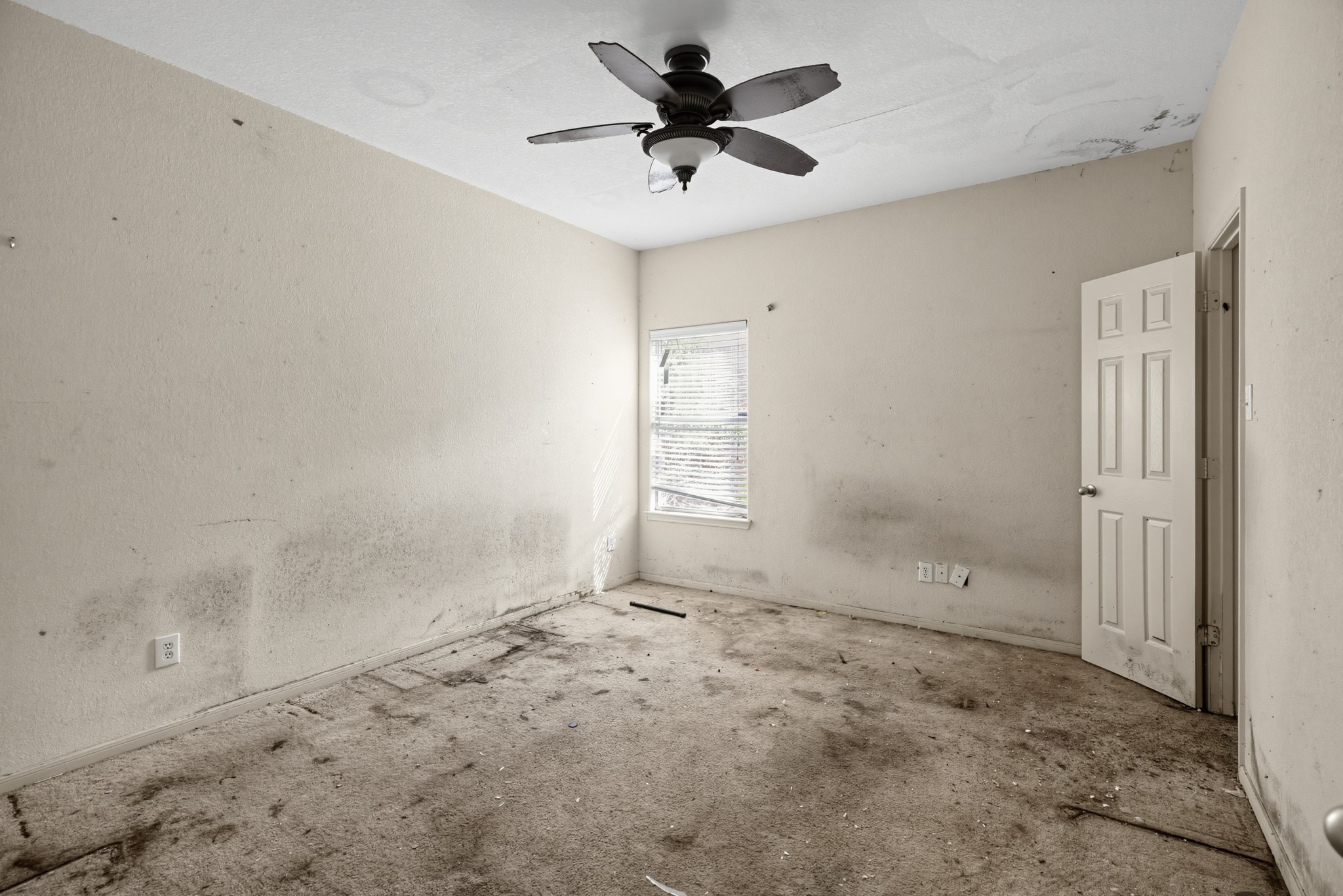24407 Cornell Park Lane, Katy, TX 77494