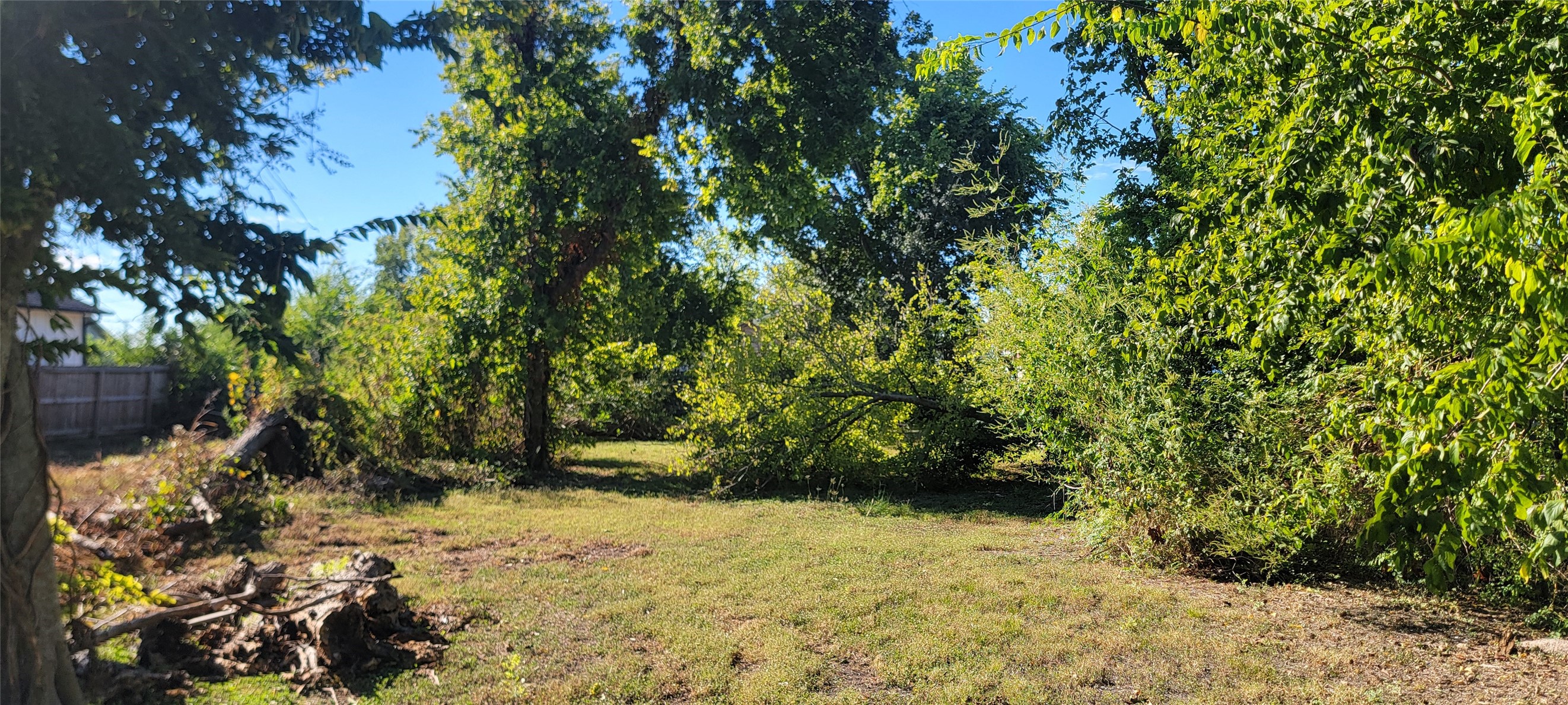 Front of lot. Partially Cleared