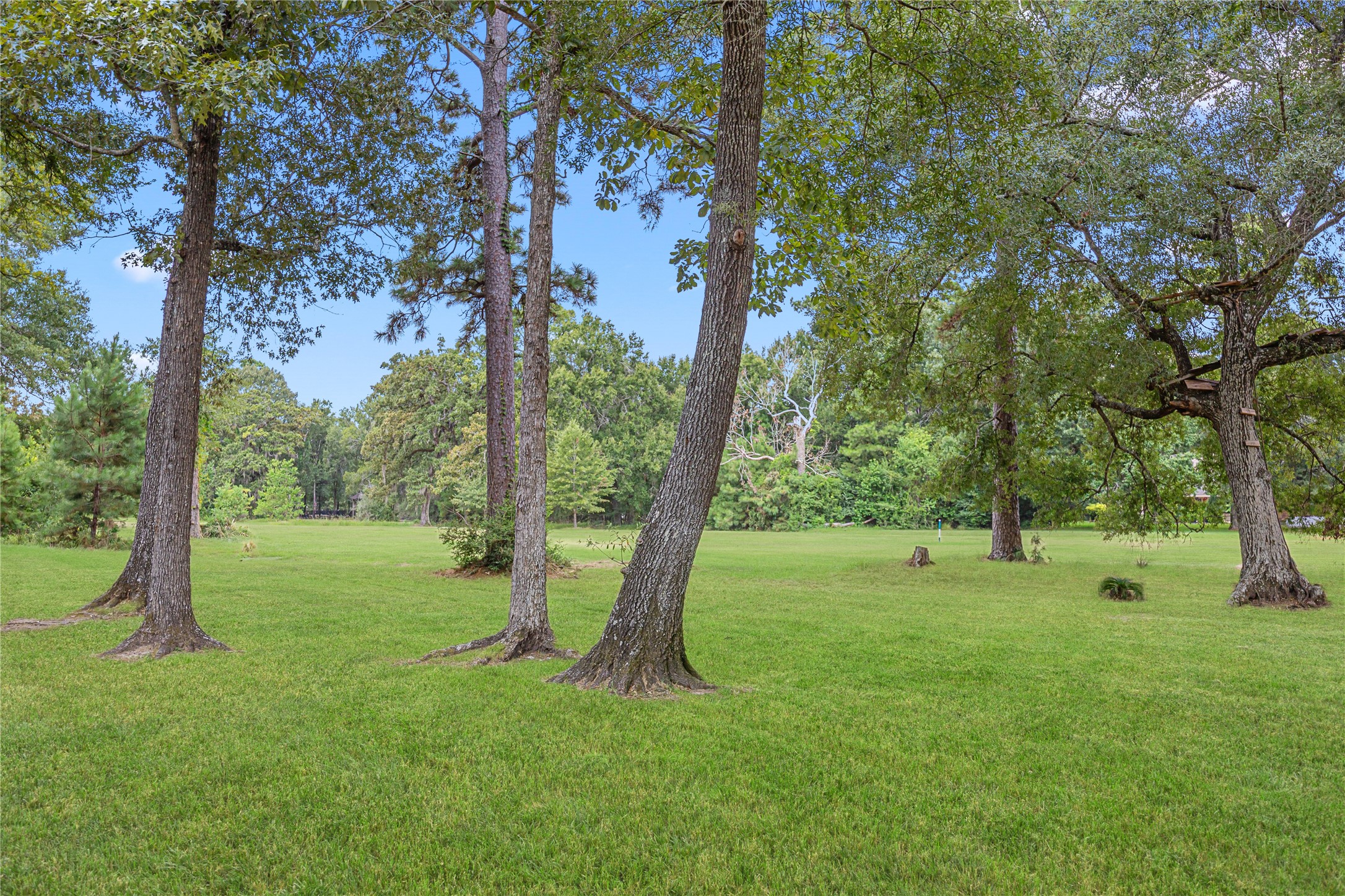 27511 Fairway Oaks Drive, Huffman, TX 77336