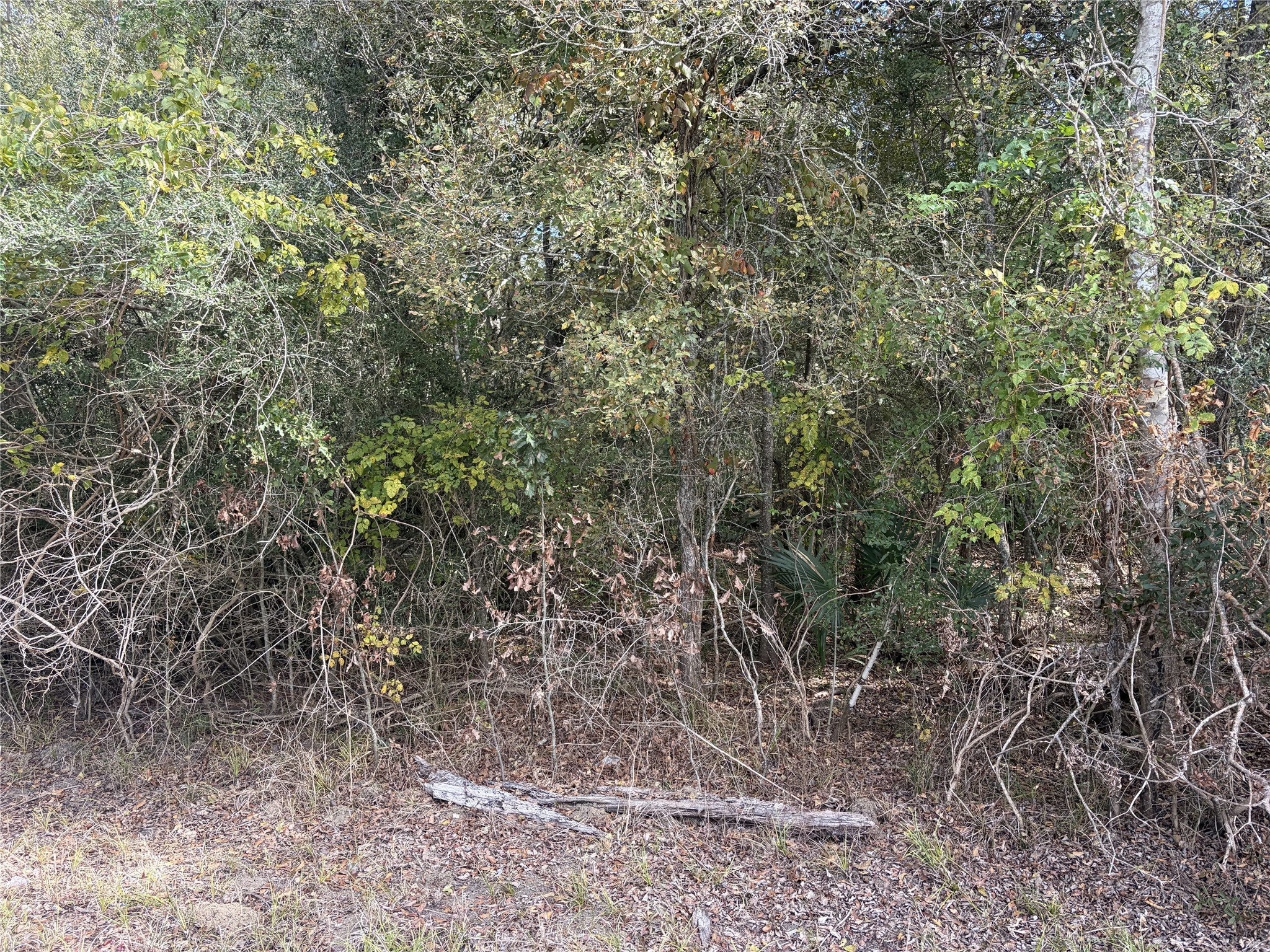 510 Bayou Road County Road 848, Danbury, TX 77534 510 Bayou Road County Road 848, Danbury, TX 77534