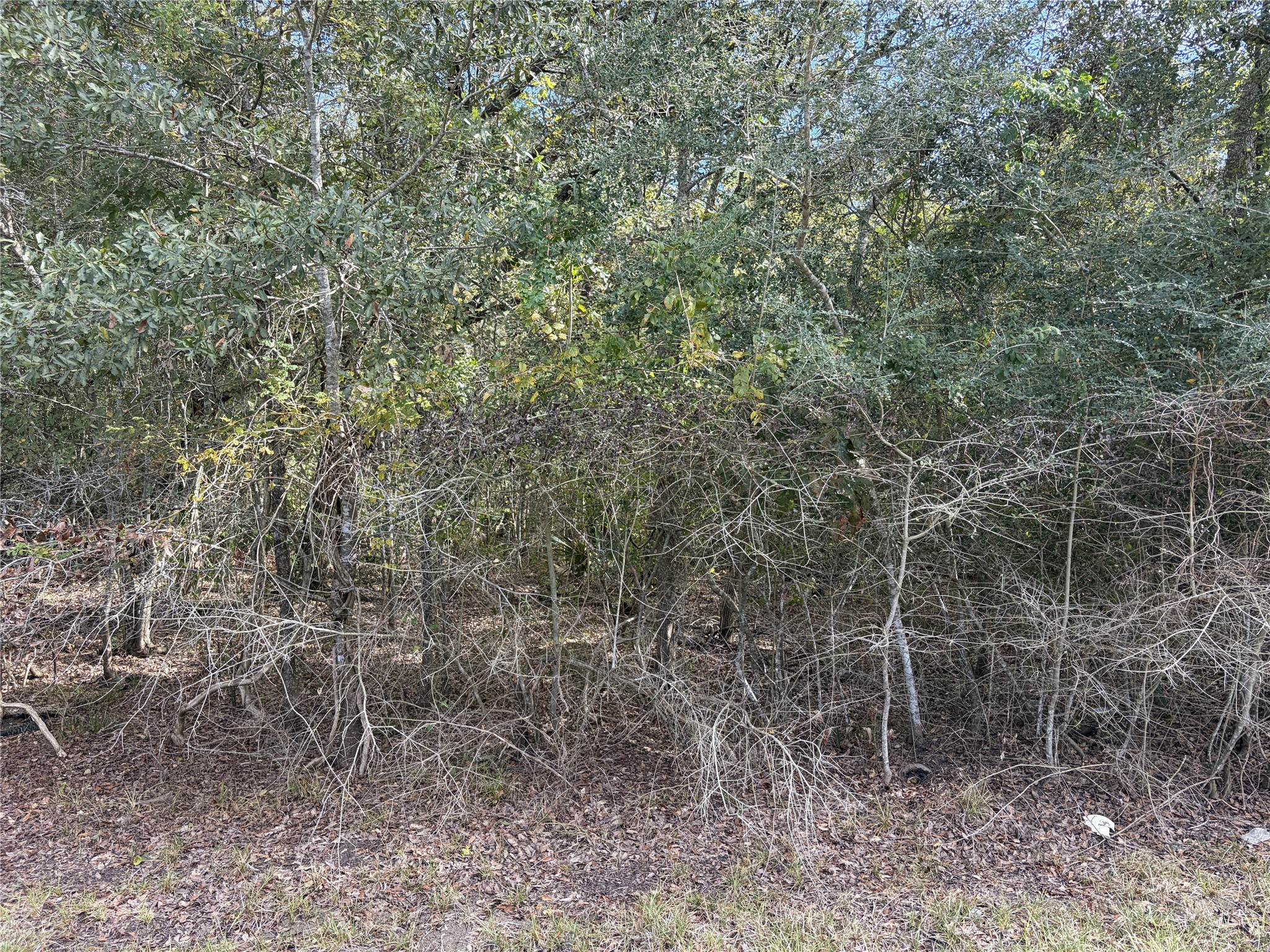 510 Bayou Road County Road 848, Danbury, TX 77534