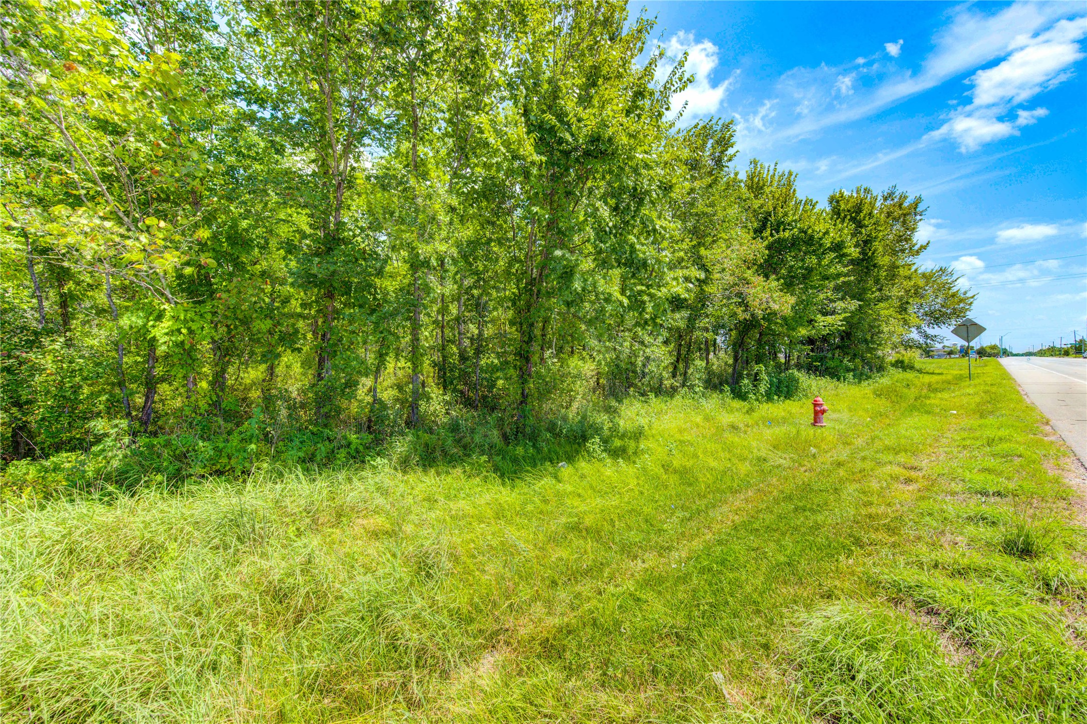 0 COUNTY ROAD 133 Road, Alvin, TX 77511