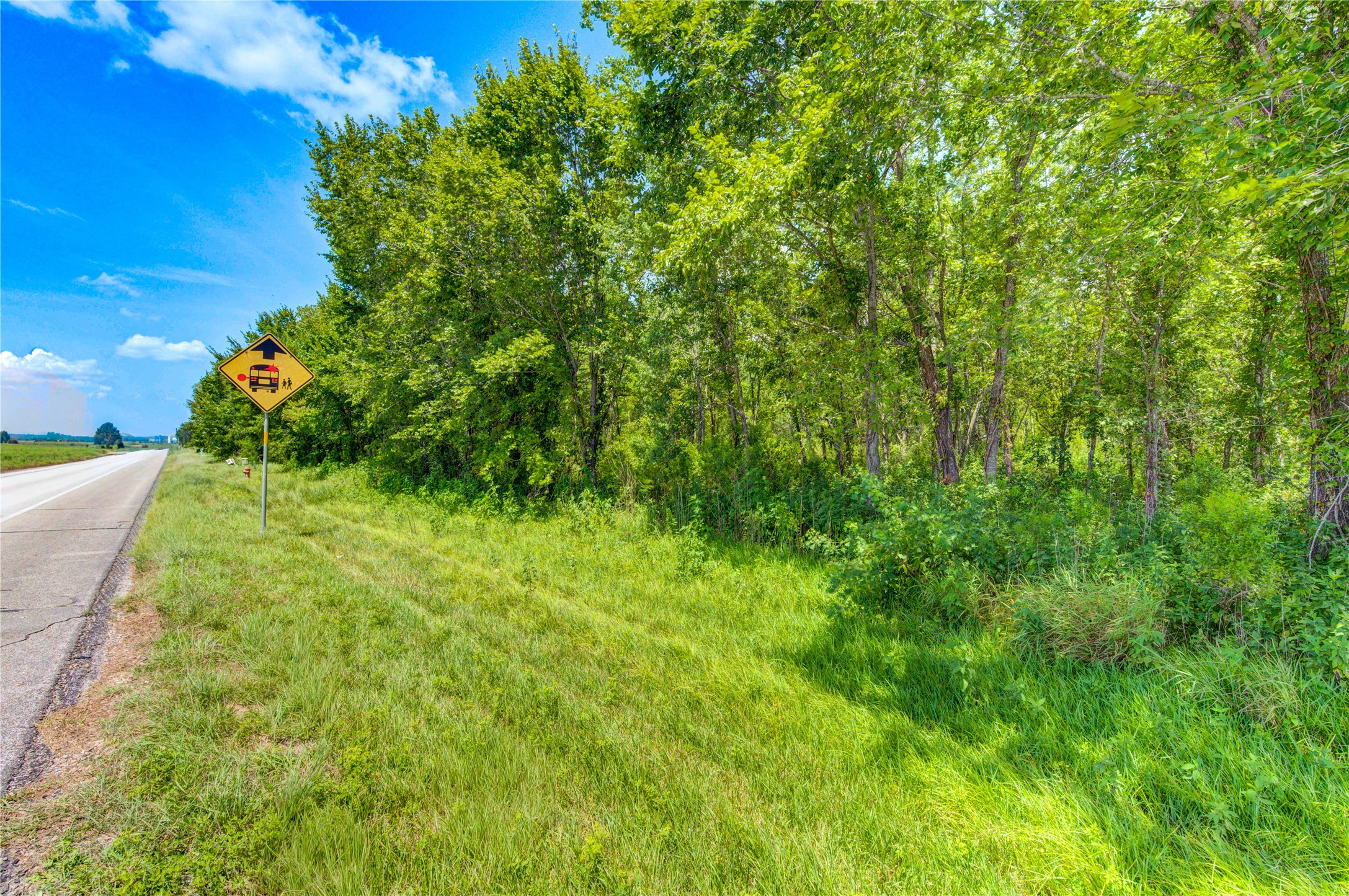 0 COUNTY ROAD 133 Road, Alvin, TX 77511