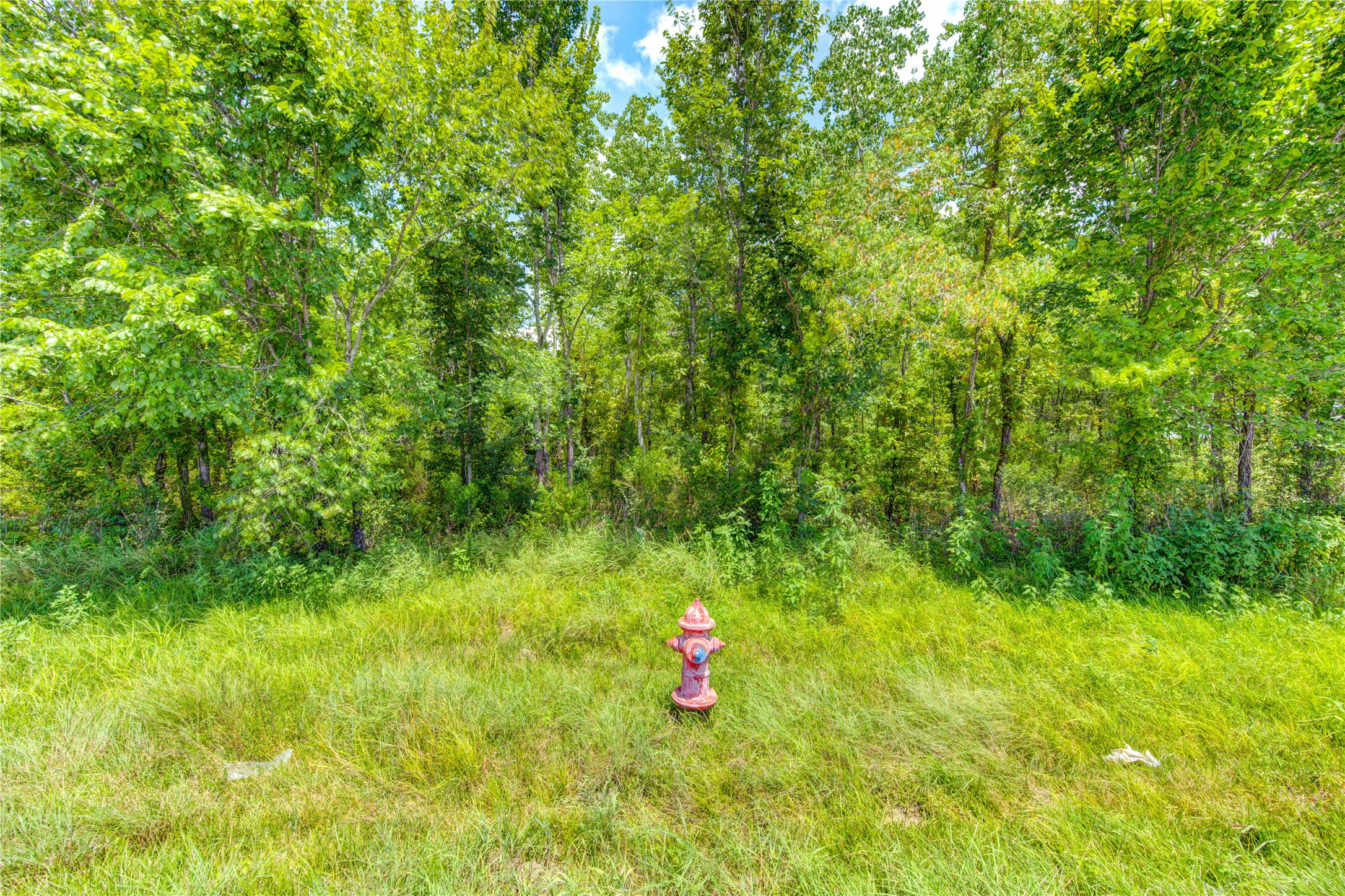 0 COUNTY ROAD 133 Road, Alvin, TX 77511