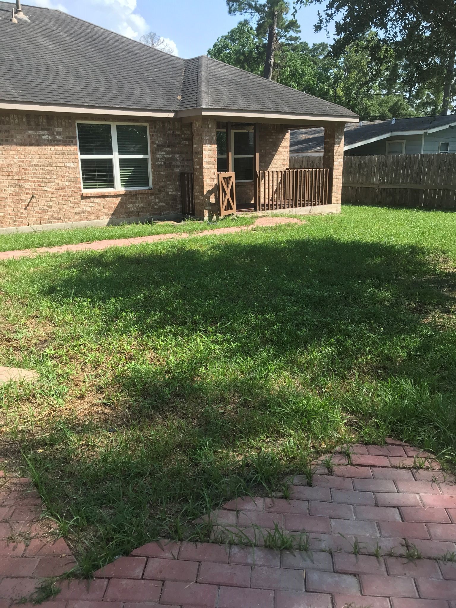 back yard