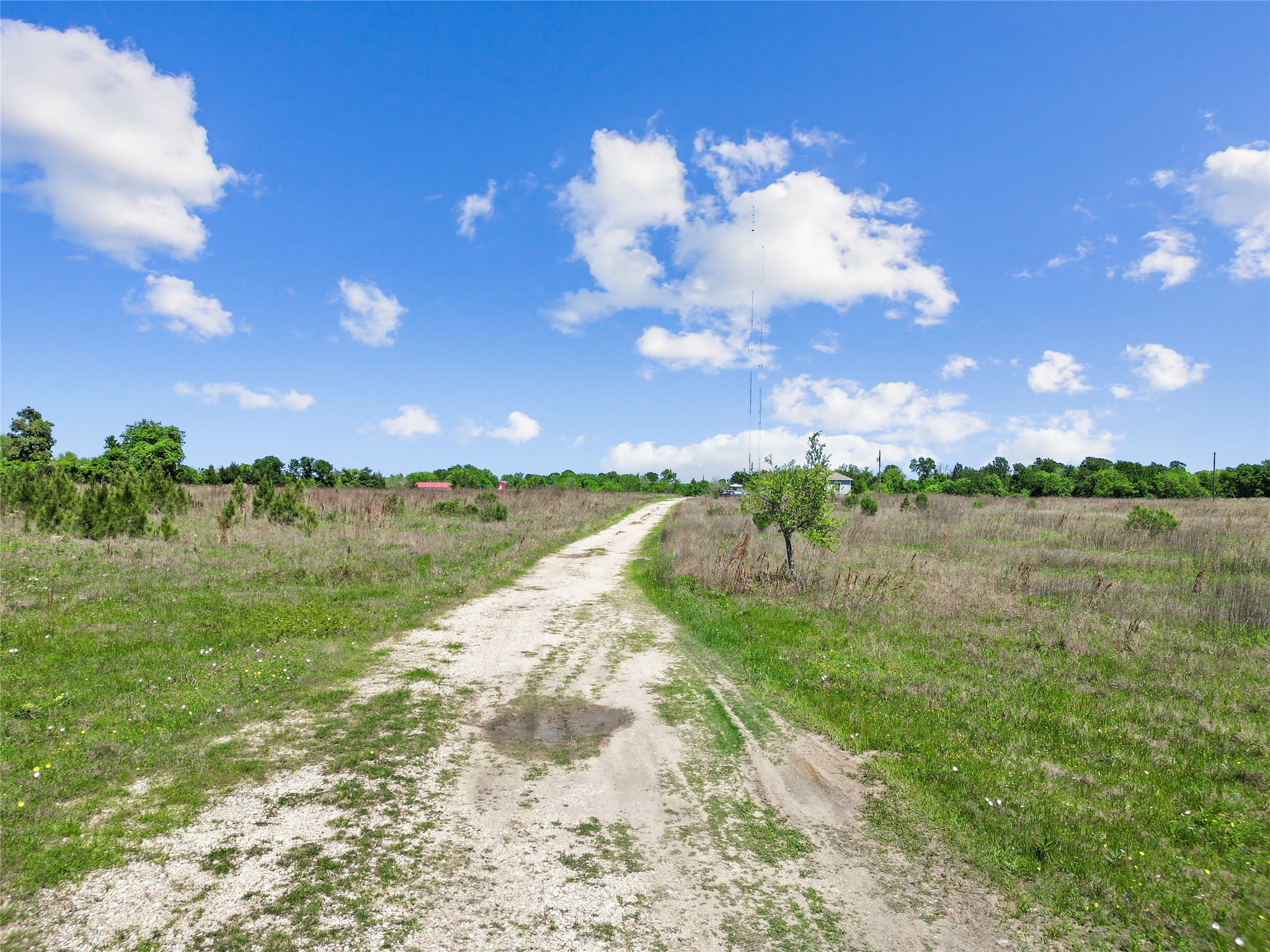 11242 Longstreet Road, Willis, TX 77318