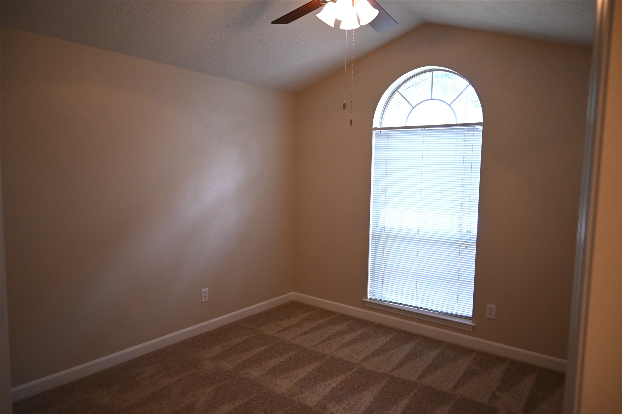22 E Trillium Circle, The Woodlands, TX 77381
