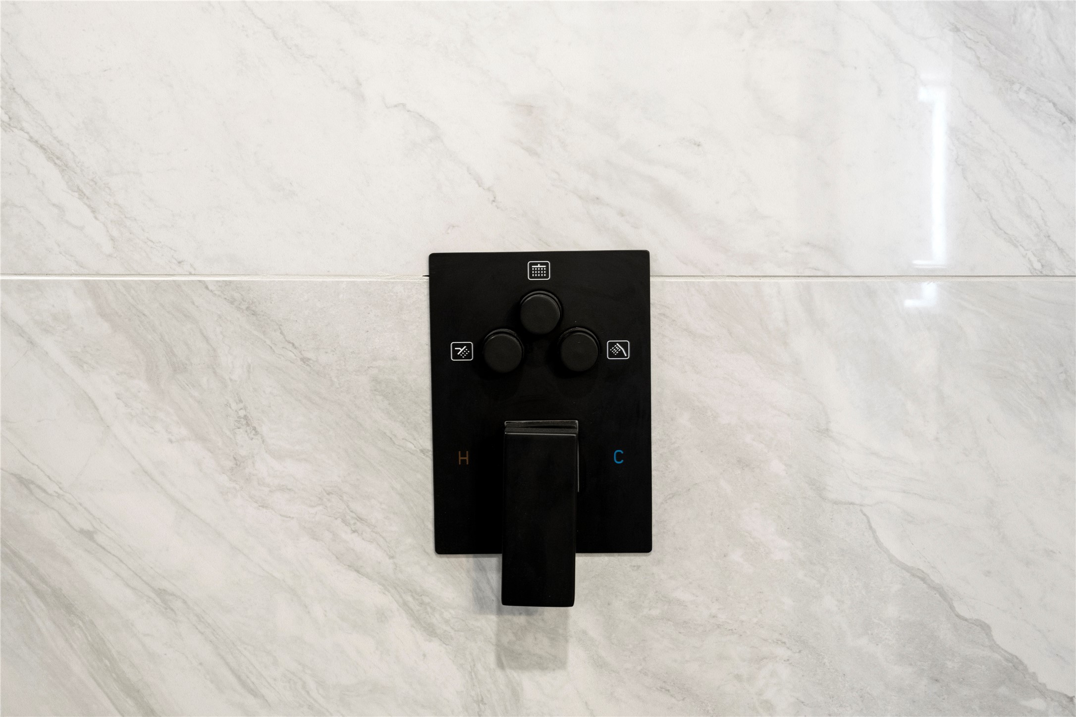 Primary Shower