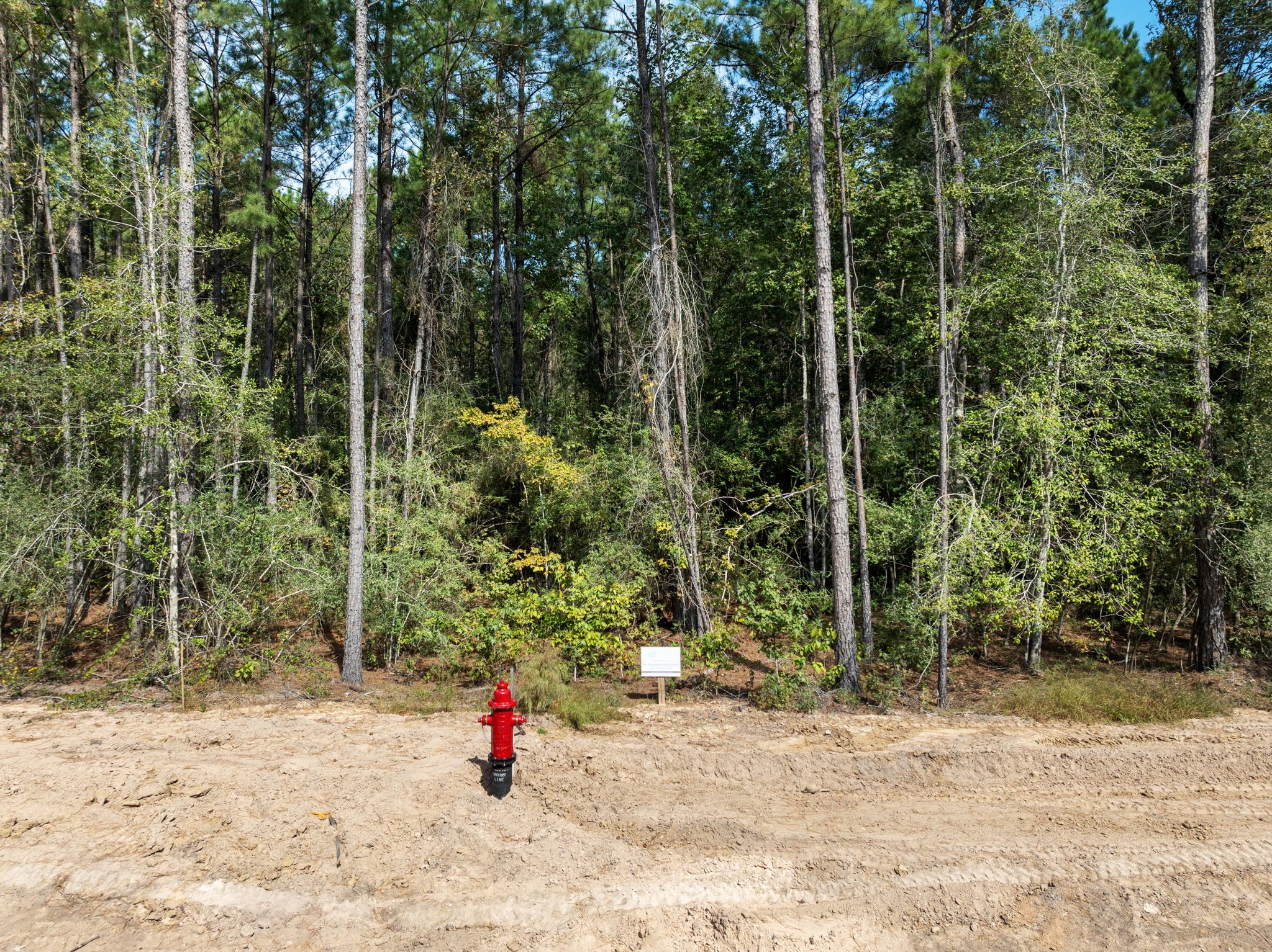 Beautiful hardwoods on this lot Beautiful hardwoods on this lot