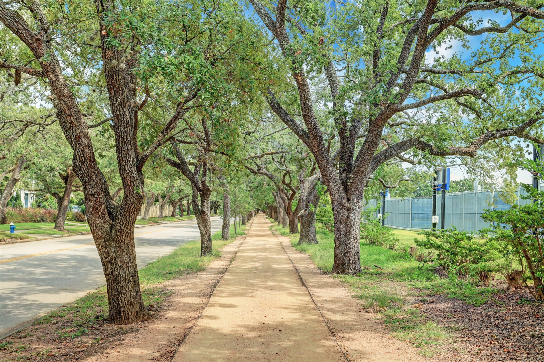 The gravel trail encircling Rice University is a favorite among walkers and runners, offering year-round shade beneath majestic live oaks that are over a century old.
