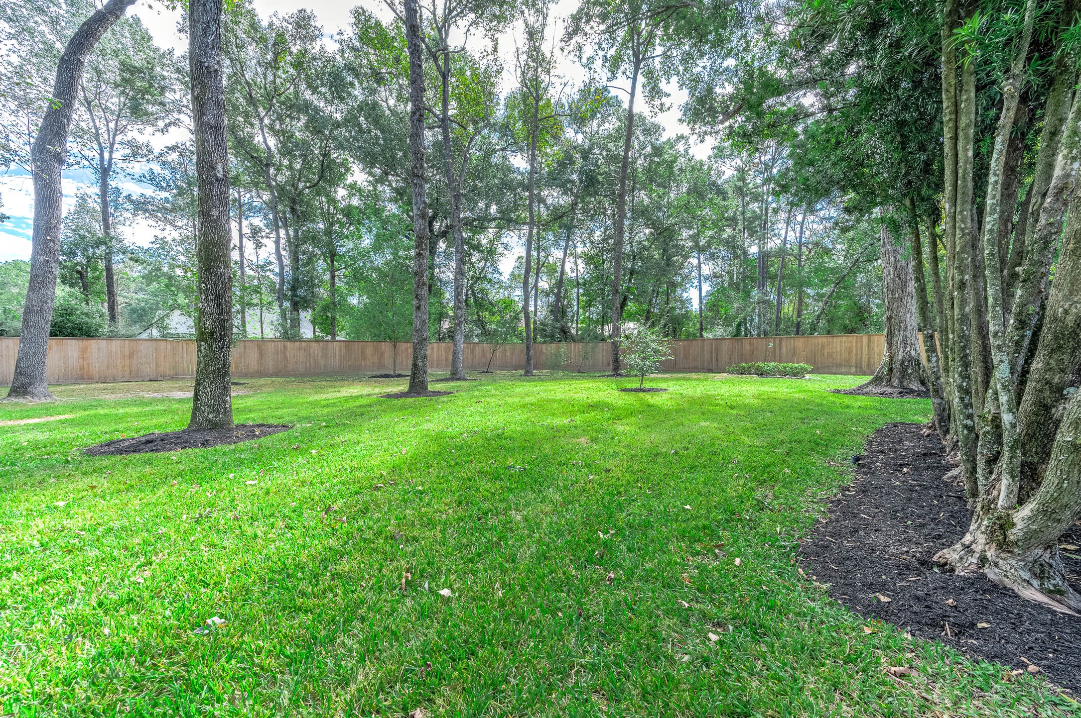 Large yard space to the side and behind the pool