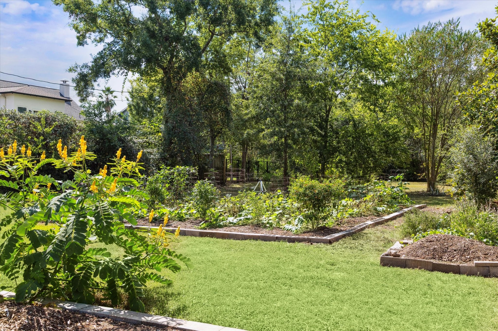 Framed by a handcrafted sign and lush vines, the garden is a perfect example of the areas strong
commitment to sustainability, education, and community engagement. Whether youre a seasoned gardener
or simply enjoy green spaces, this garden adds warmth, character, and a unique sense of neighborhood
pride to the area.