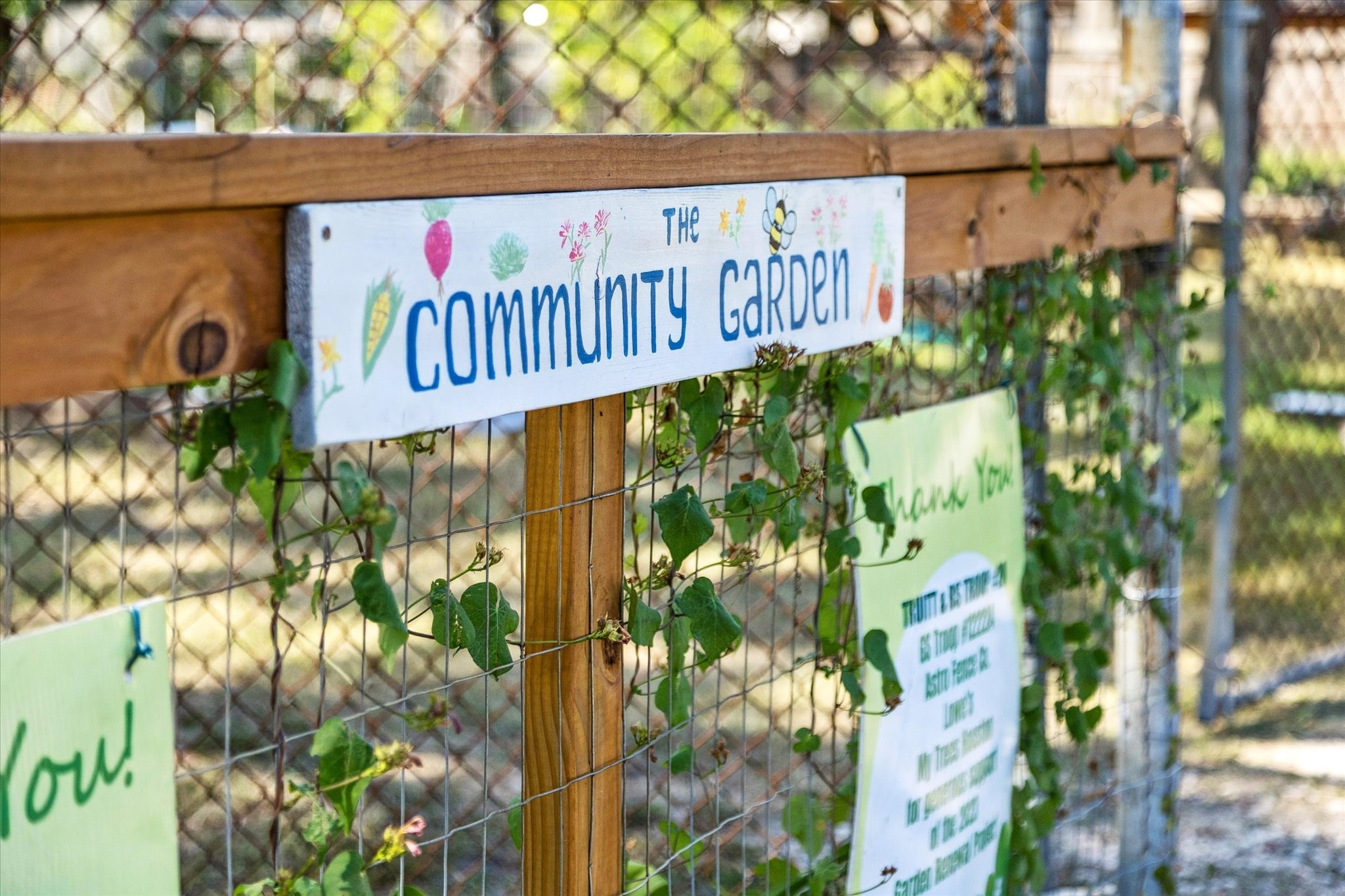 Charming view of the local Community Garden, a beloved feature of the Garden Oaks neighborhood and
a vibrant extension of the Garden Oaks Montessori School campus. This inviting space is thoughtfully
maintained and serves as an outdoor classroom and gathering area where students, families, and neighbors
come together to grow vegetables, herbs, and native plants.