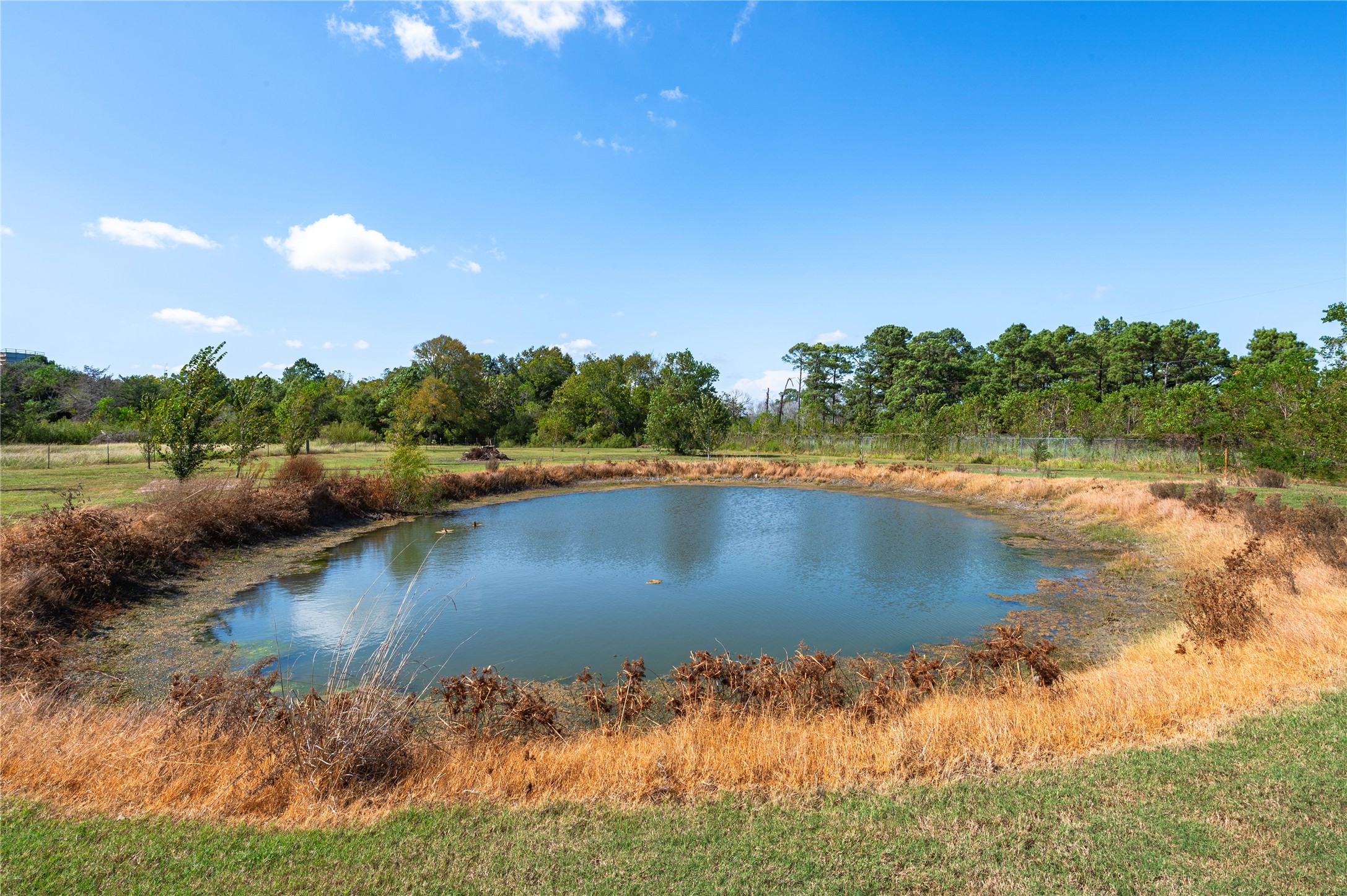 7120 County Road 171, Alvin, TX 77511