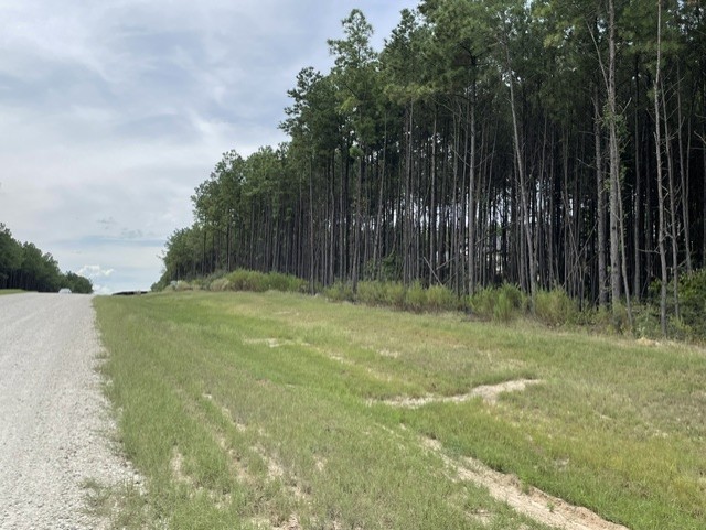 15963 Forest Grove Drive, Willis, TX 77378