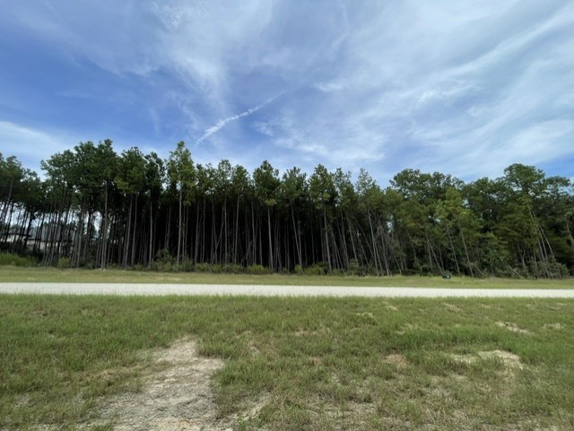15963 Forest Grove Drive, Willis, TX 77378