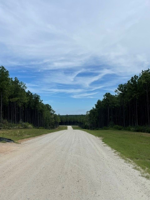 15963 Forest Grove Drive, Willis, TX 77378