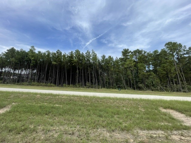 15963 Forest Grove Drive, Willis, TX 77378