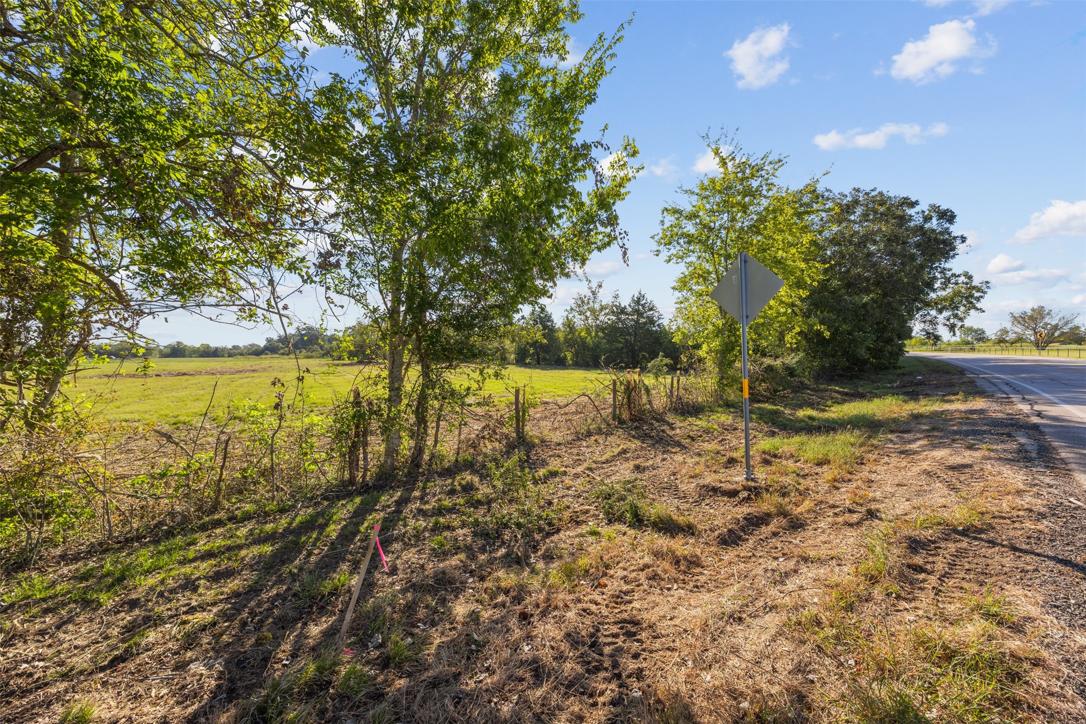 Looking south along FM 1887, this view highlights the property's road frontage, mature roadside trees, and open acreage extending beyond the tree line. Looking south along FM 1887, this view highlights the property's road frontage, mature roadside trees, and open acreage extending beyond the tree line.