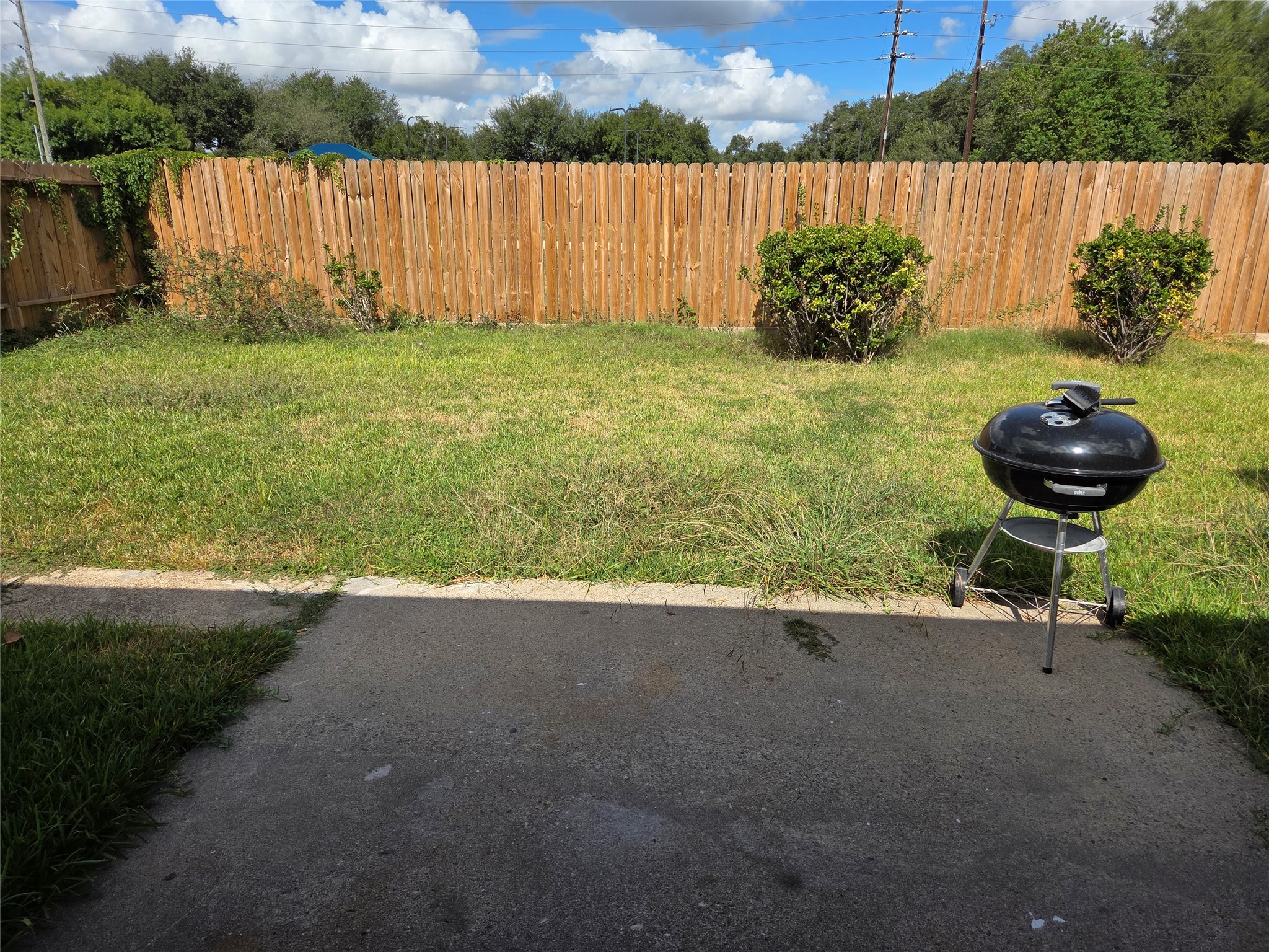 Spacious Backyard