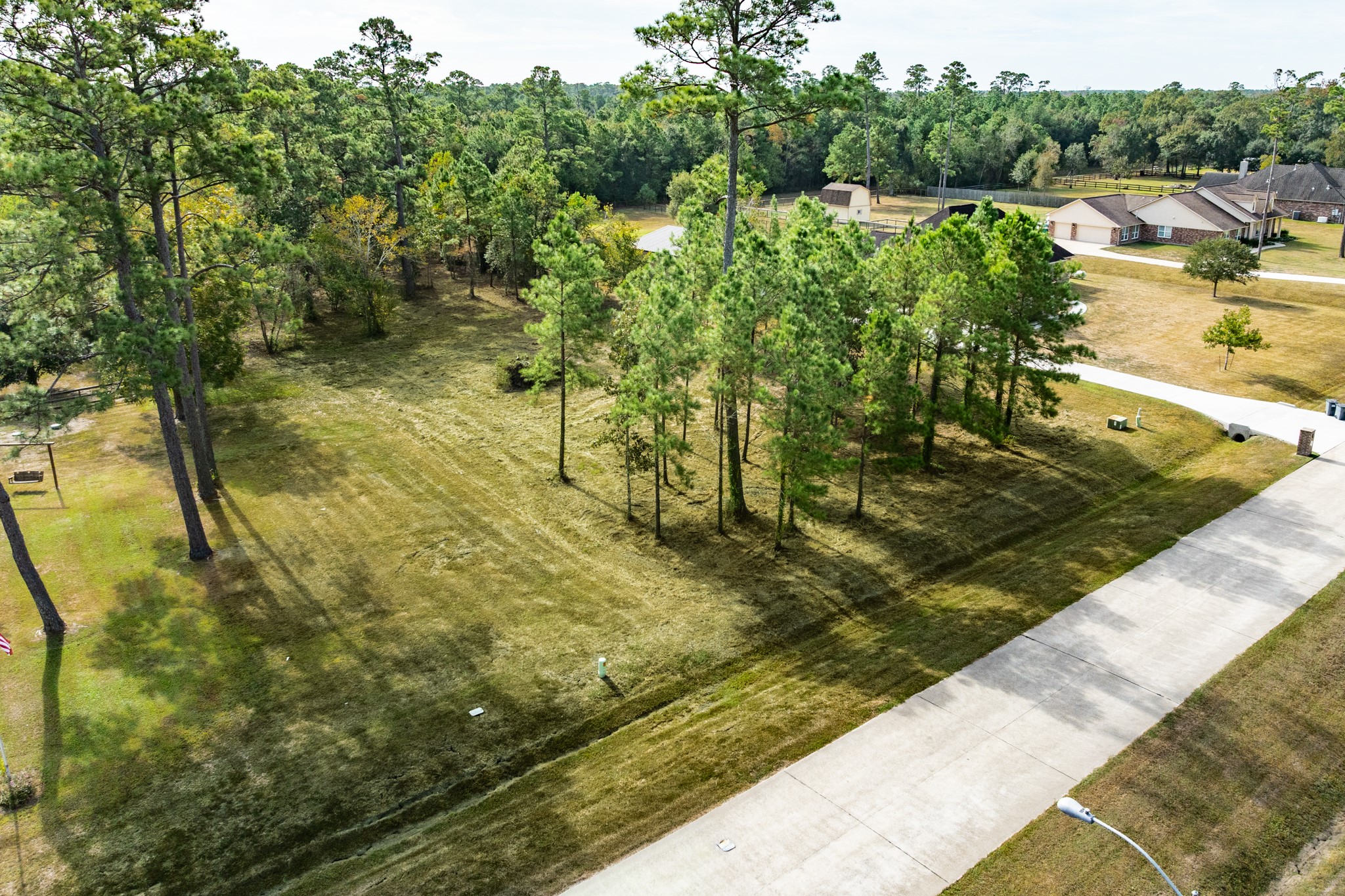7203 Bayou Timbers Drive, Alvin, TX 77511